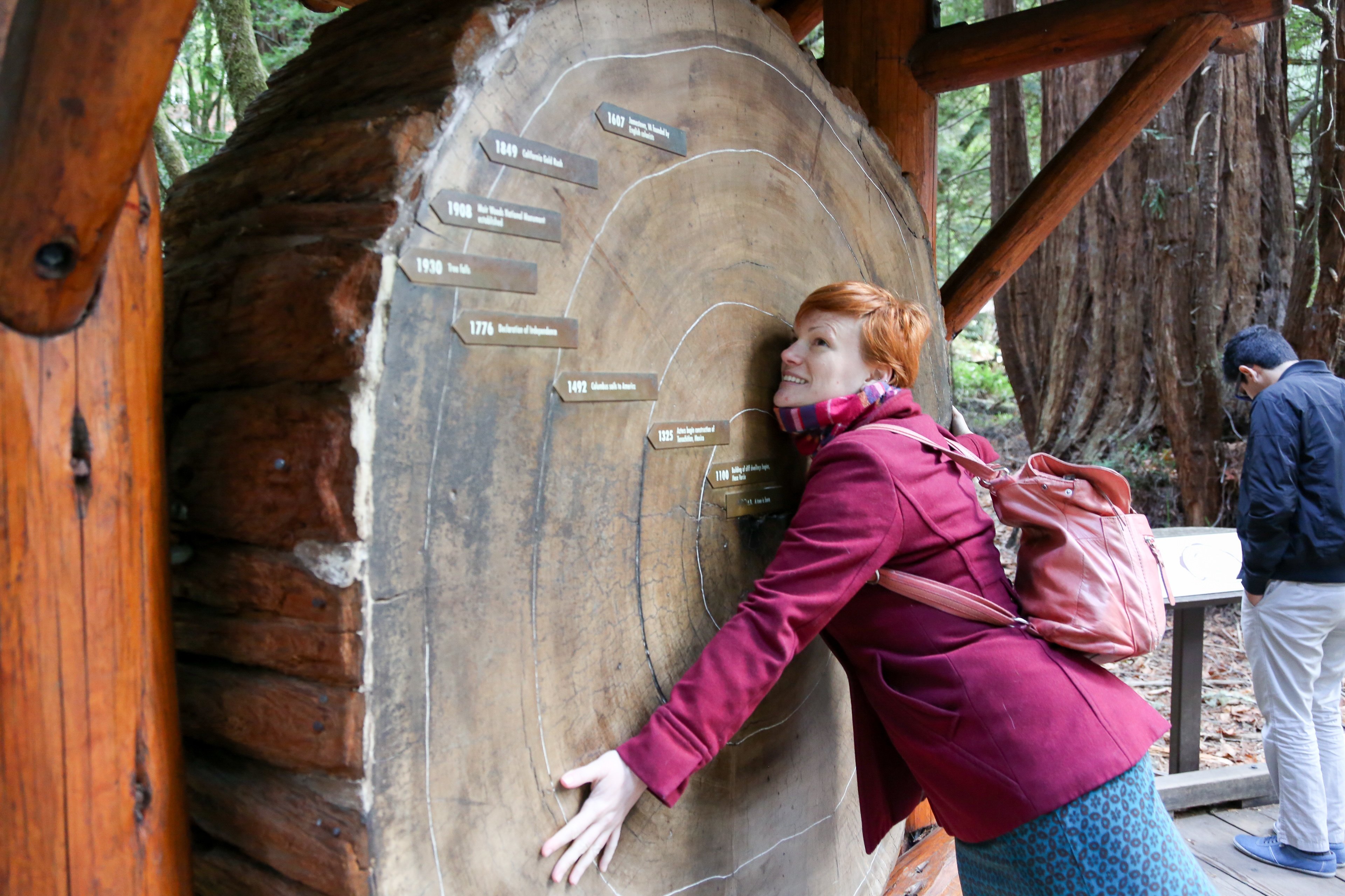 Alcatraz Night Tour, Muir Woods & Sausalito Adventure