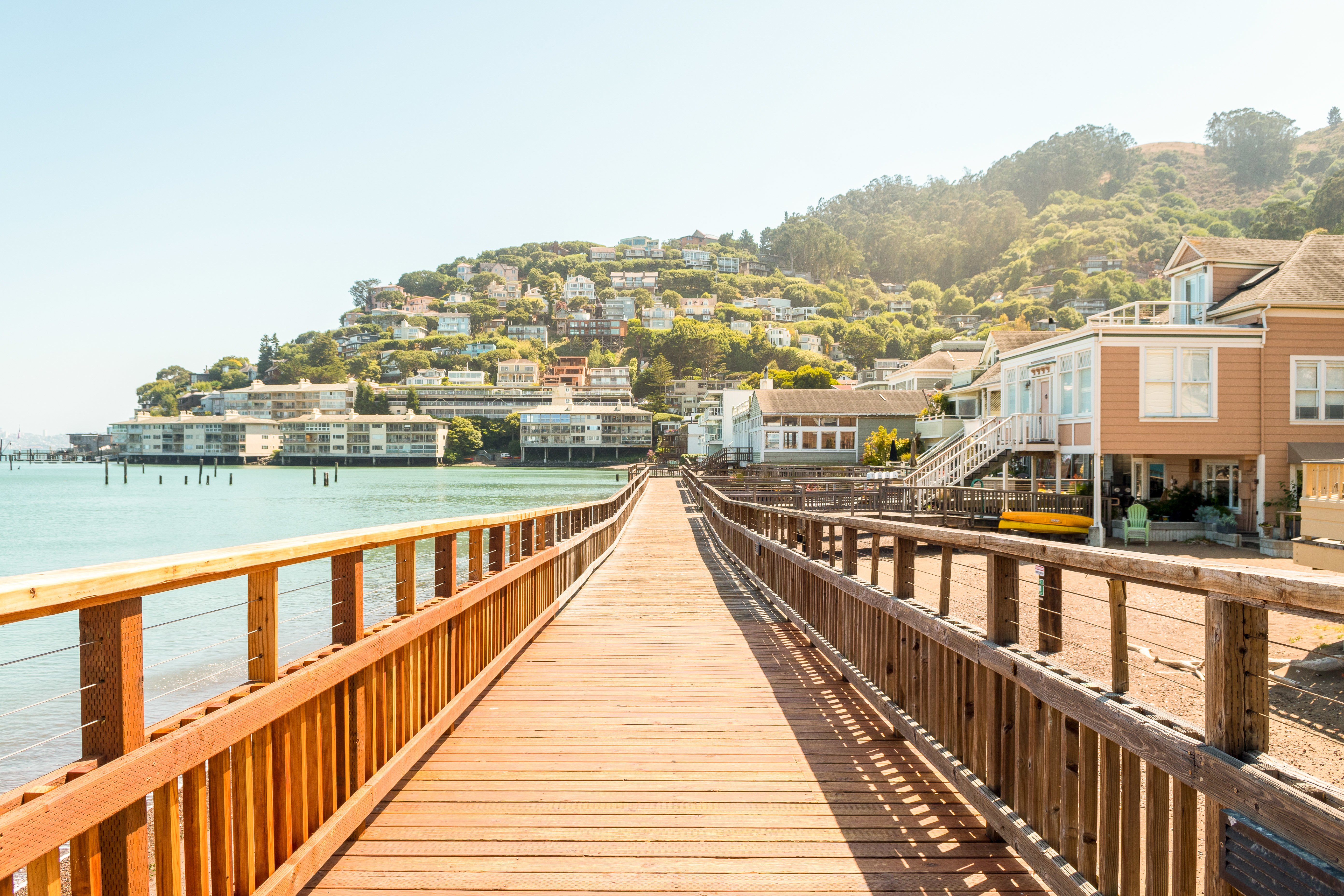 Alcatraz Night Tour, Muir Woods & Sausalito Adventure