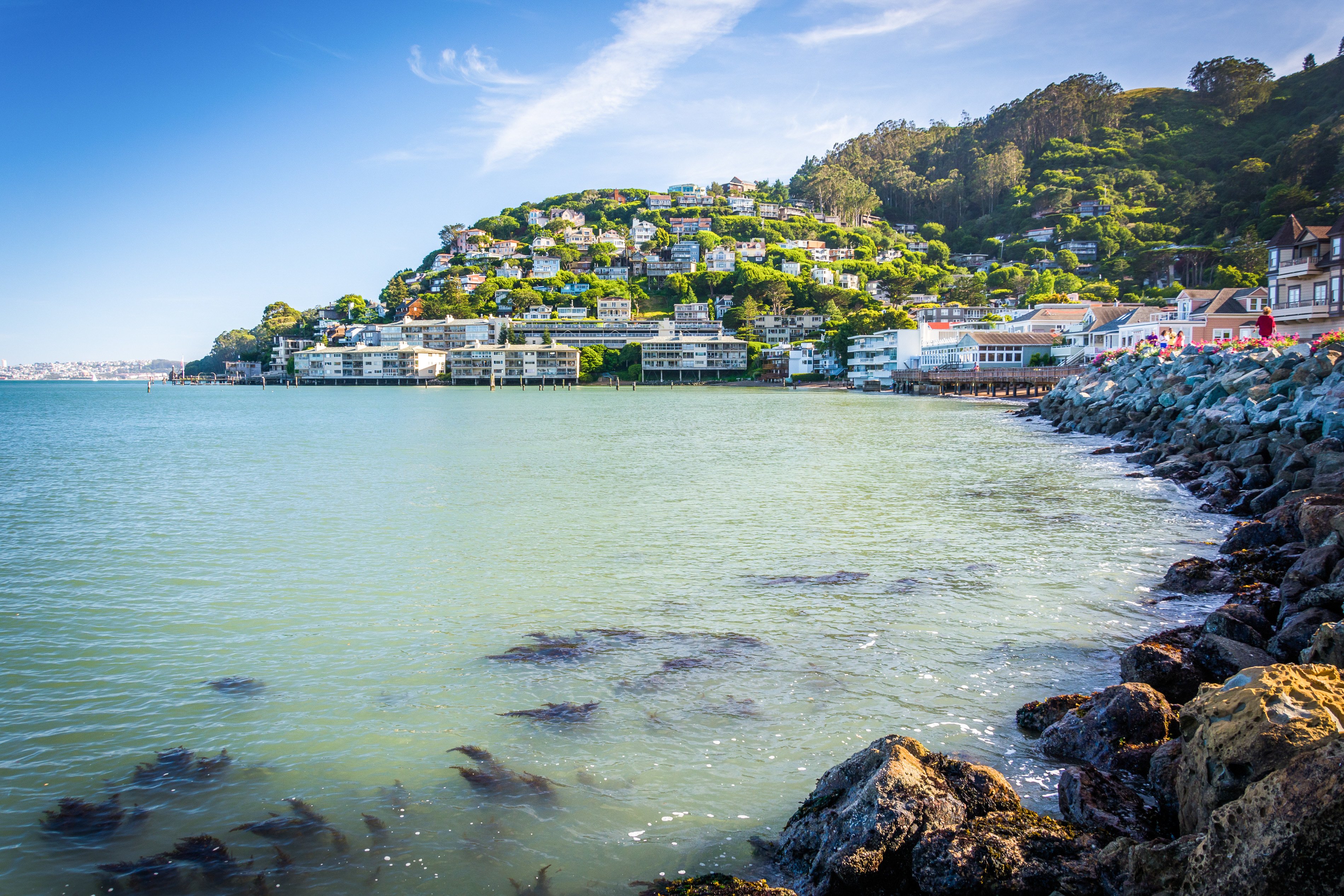 Alcatraz Night Tour, Muir Woods & Sausalito Adventure