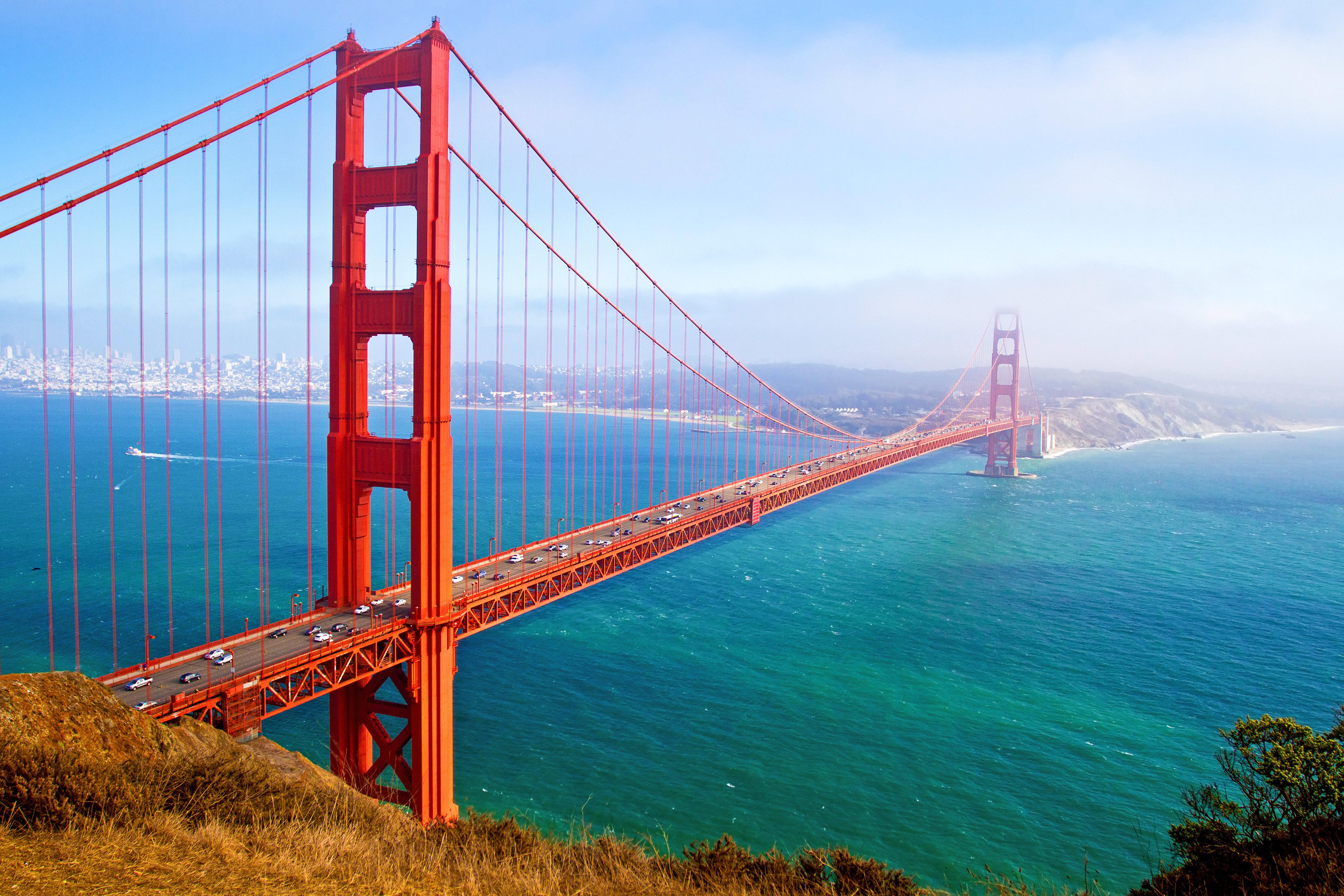 Alcatraz Night Tour, Muir Woods & Sausalito Adventure