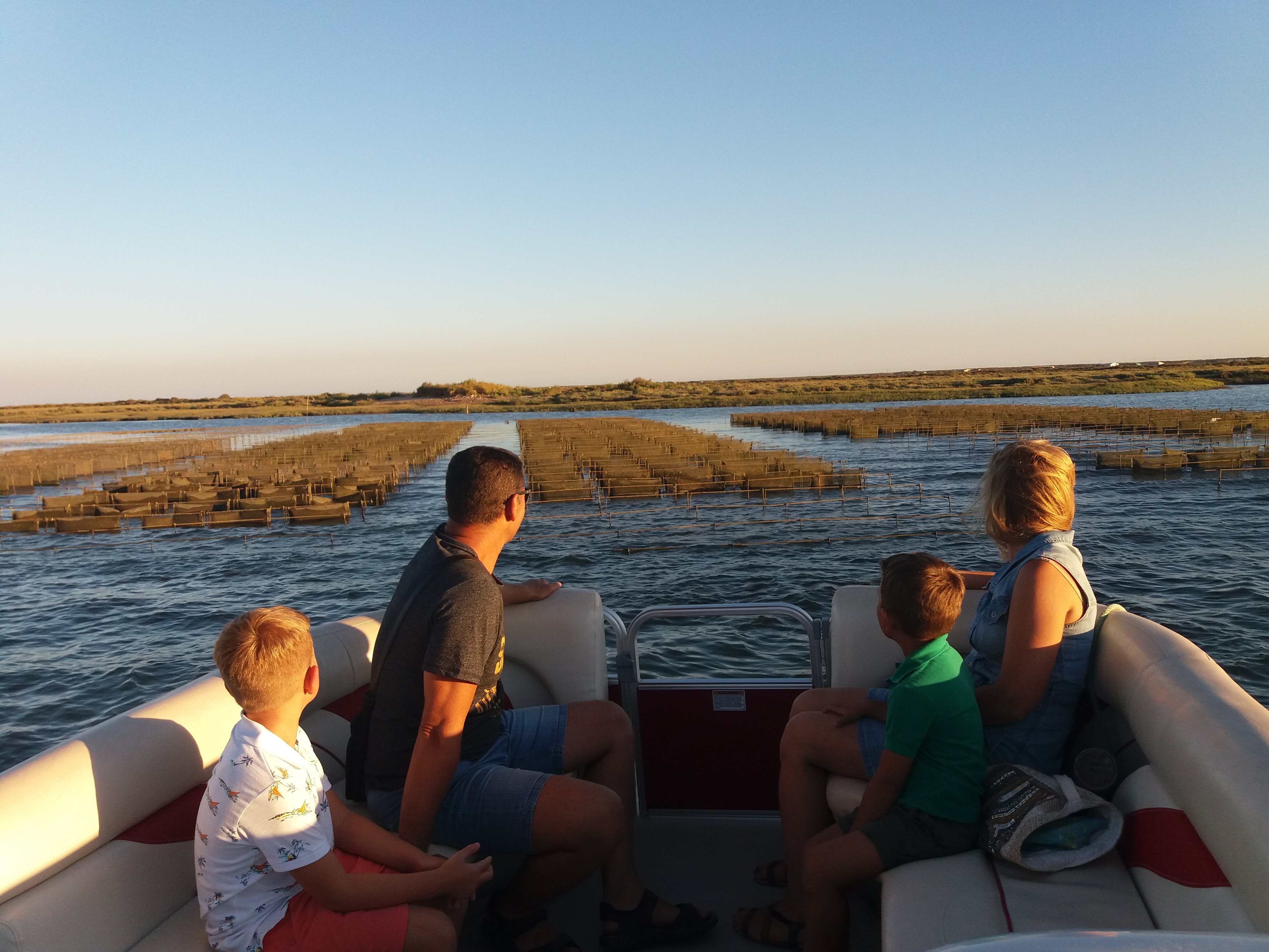 Faro: Ria Formosa Boat Tour
