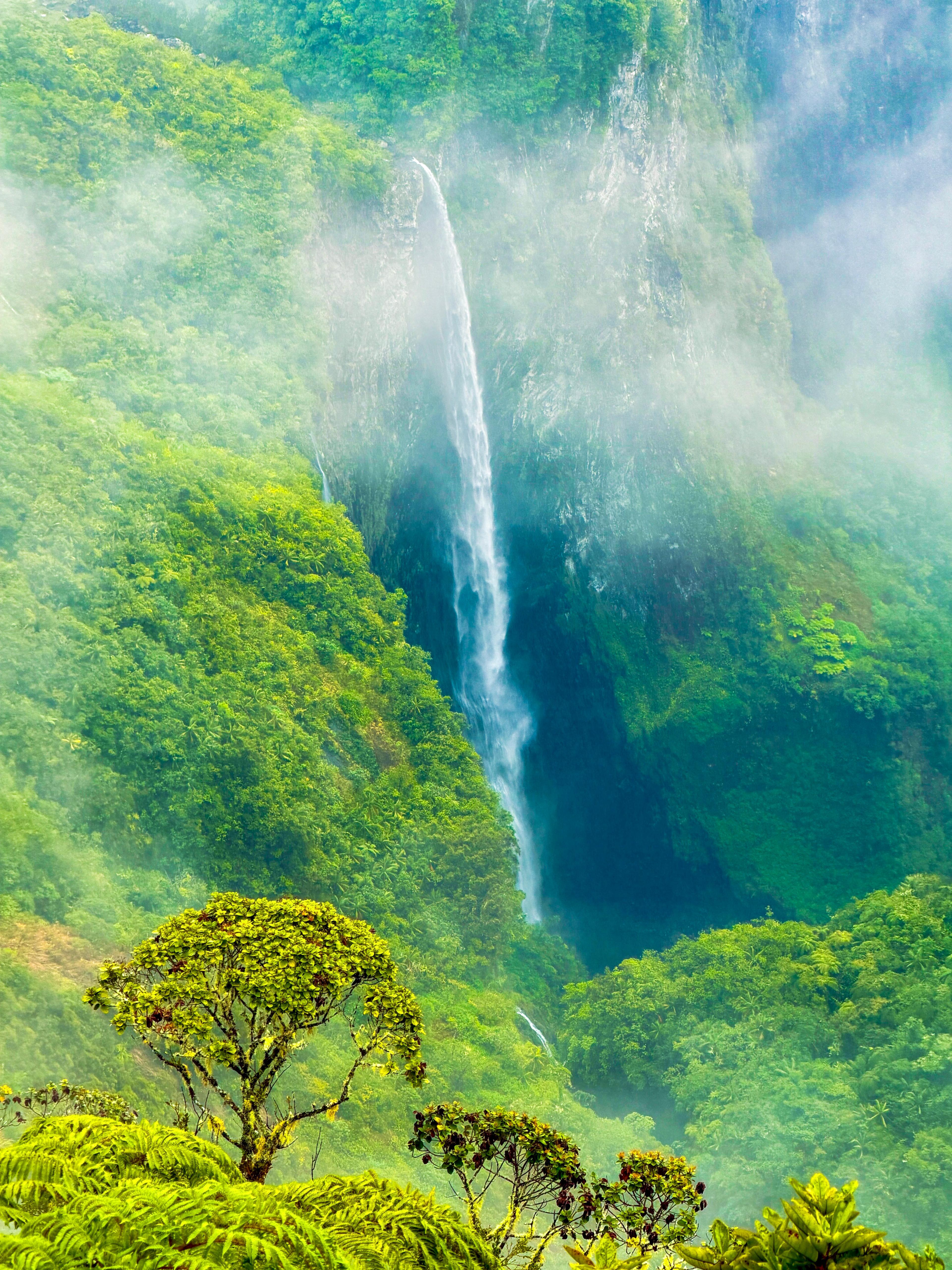 Trou de Fer Guided Rainforest Hike in Réunion Island