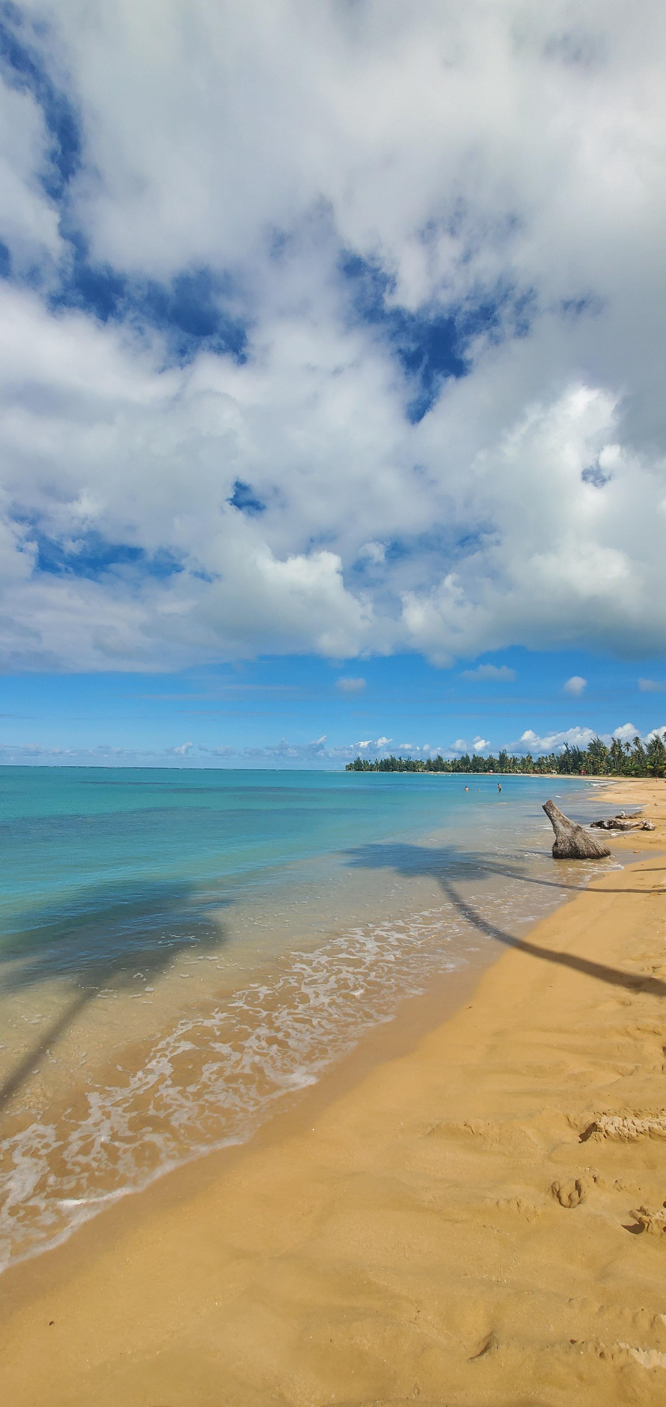 El Yunque Rainforest Adventure: Ziplining, River Swim & Luquillo Beach