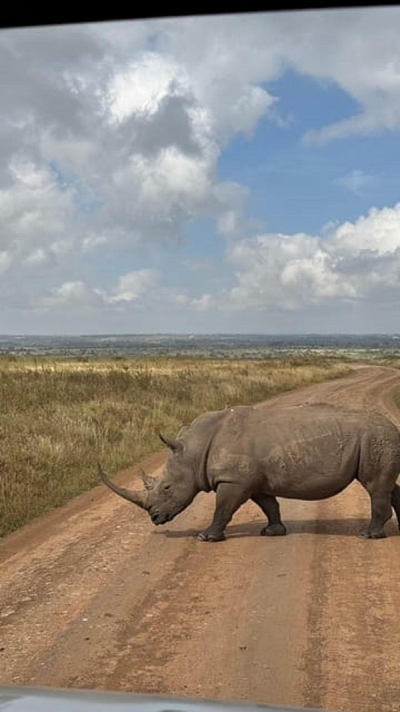 Nairobi Wildlife & History Day Tour