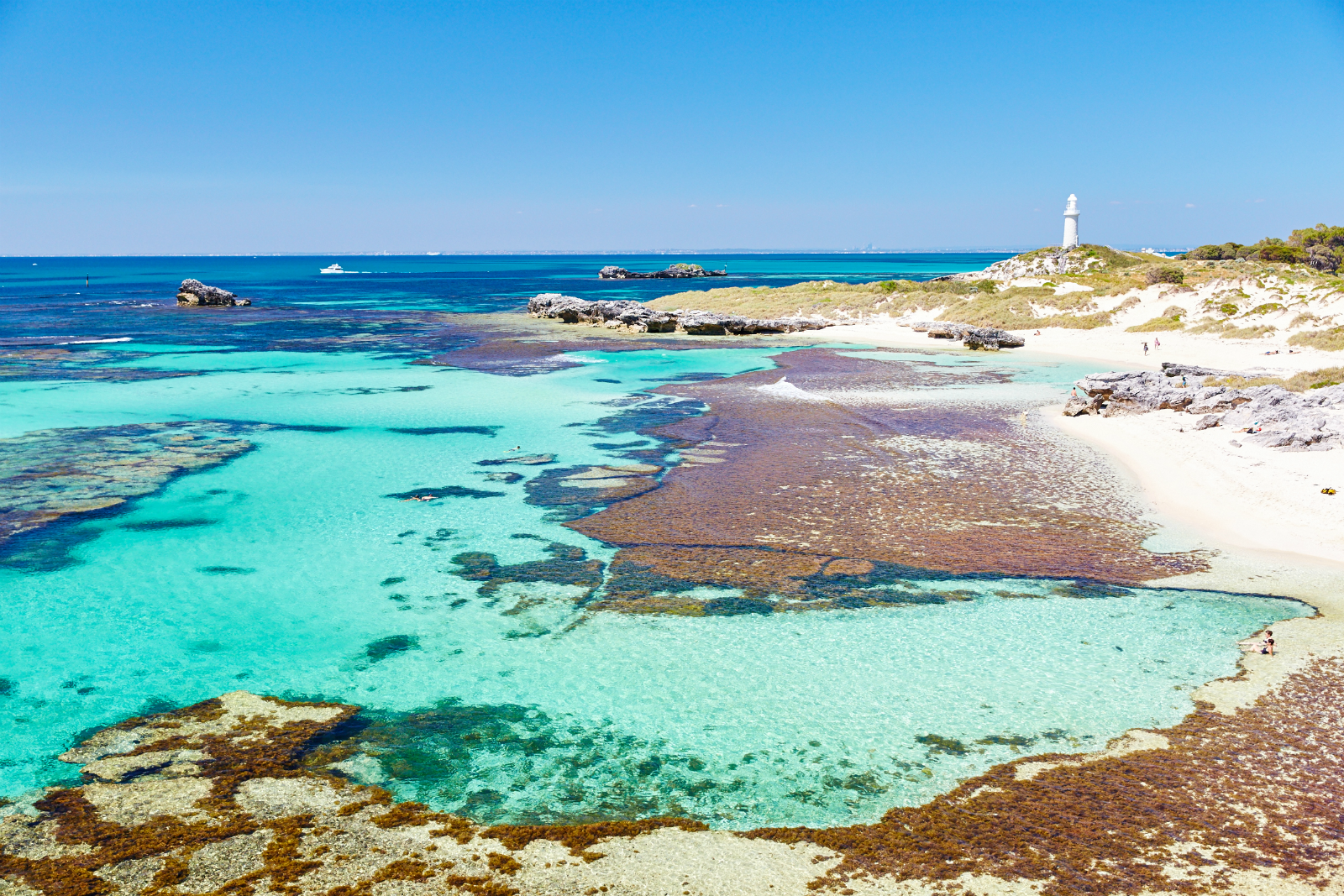 Rottnest Island Complete Discovery Tour with Ferry & Lunch