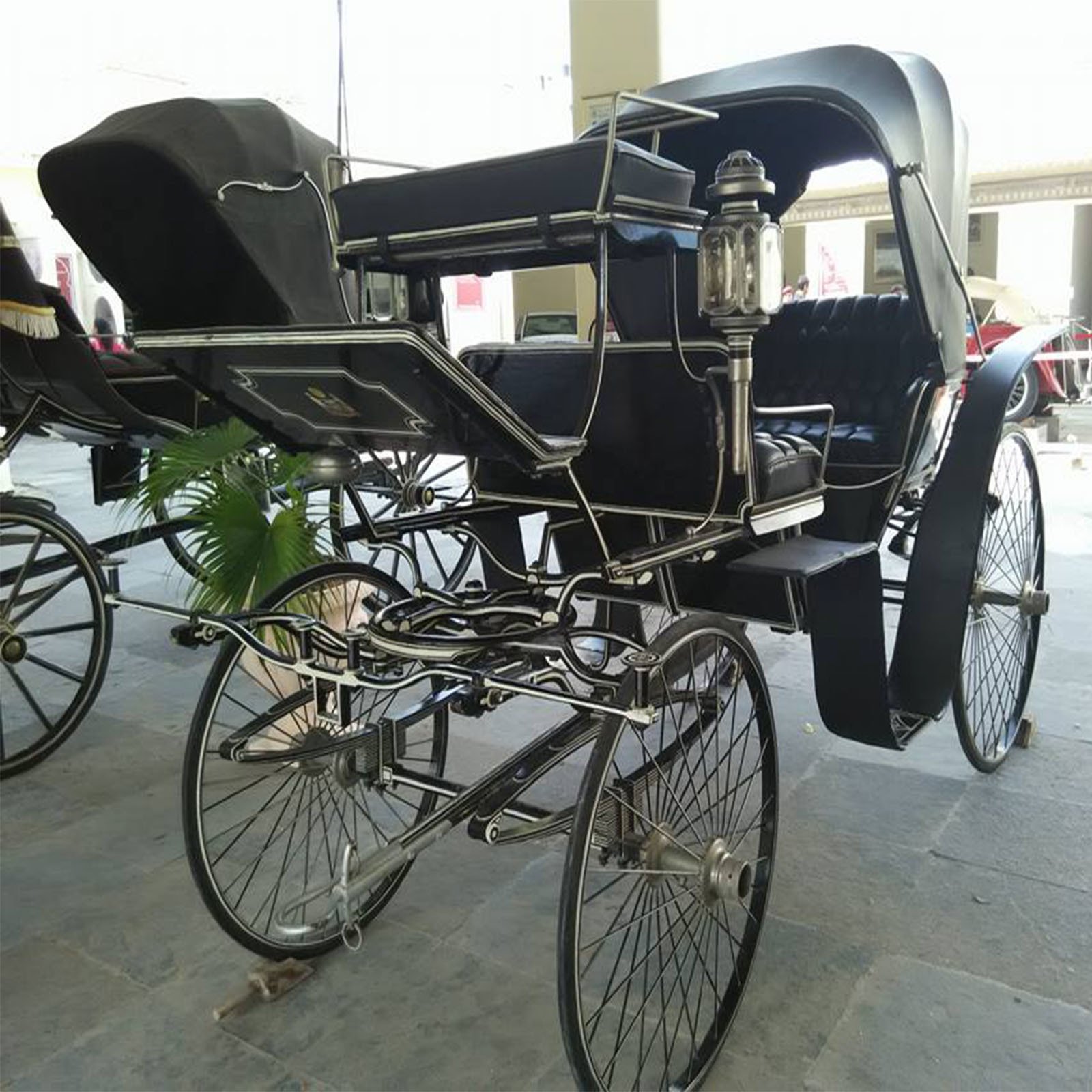 Udaipur Heritage Tour: City Palace, Vintage Cars & Crystal Gallery