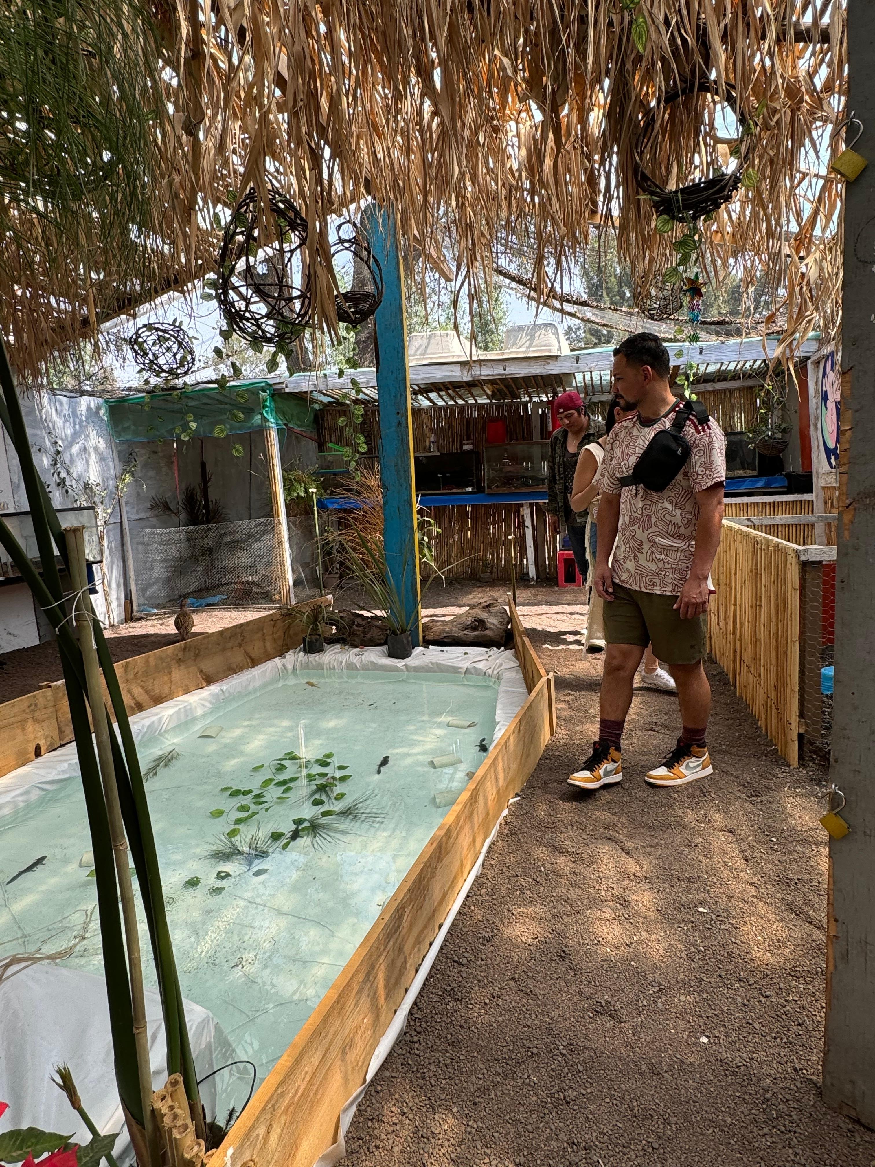 Xochimilco Axolotl Refuge & Canal Expedition