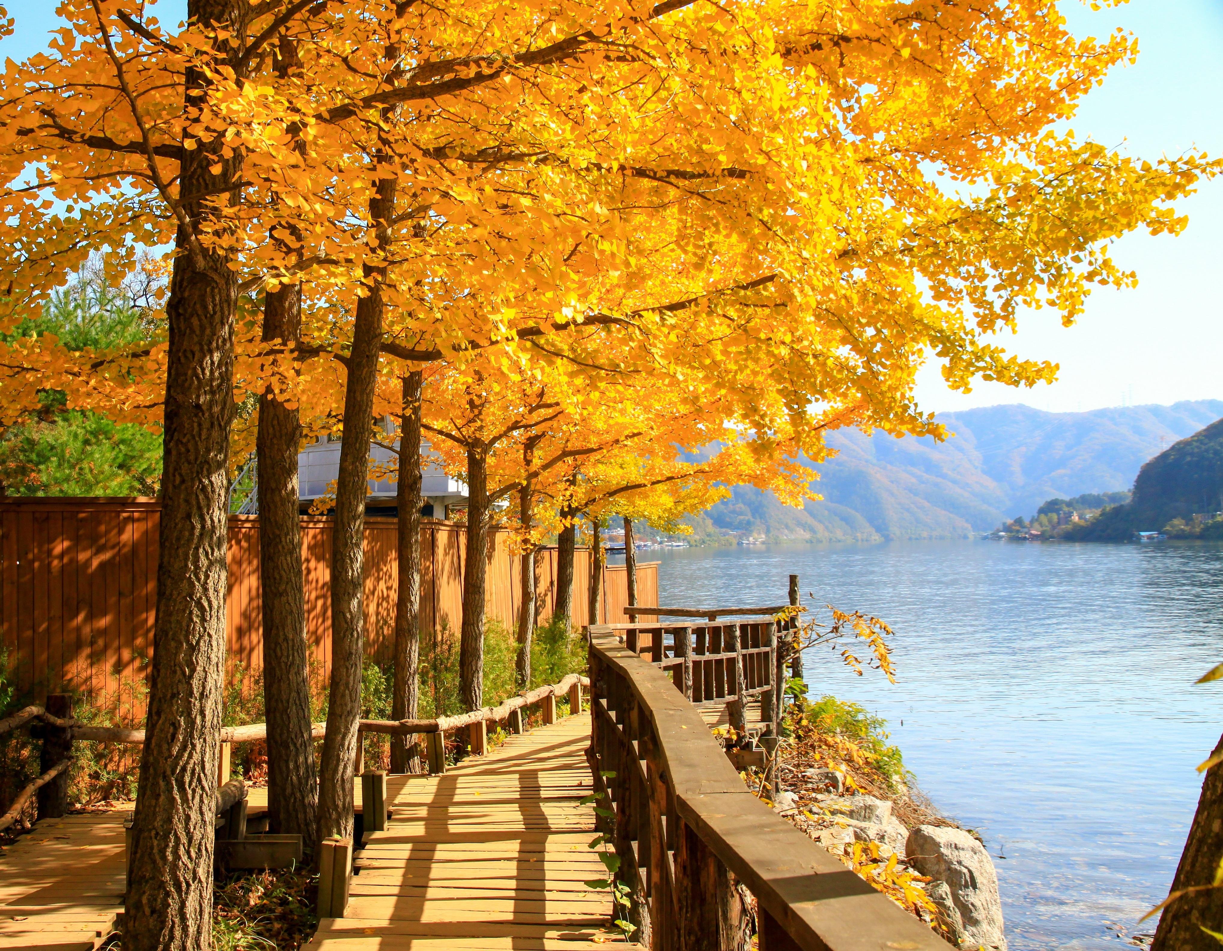 Seoul: Nami Island and Garden of Morning Calm opt Railbike