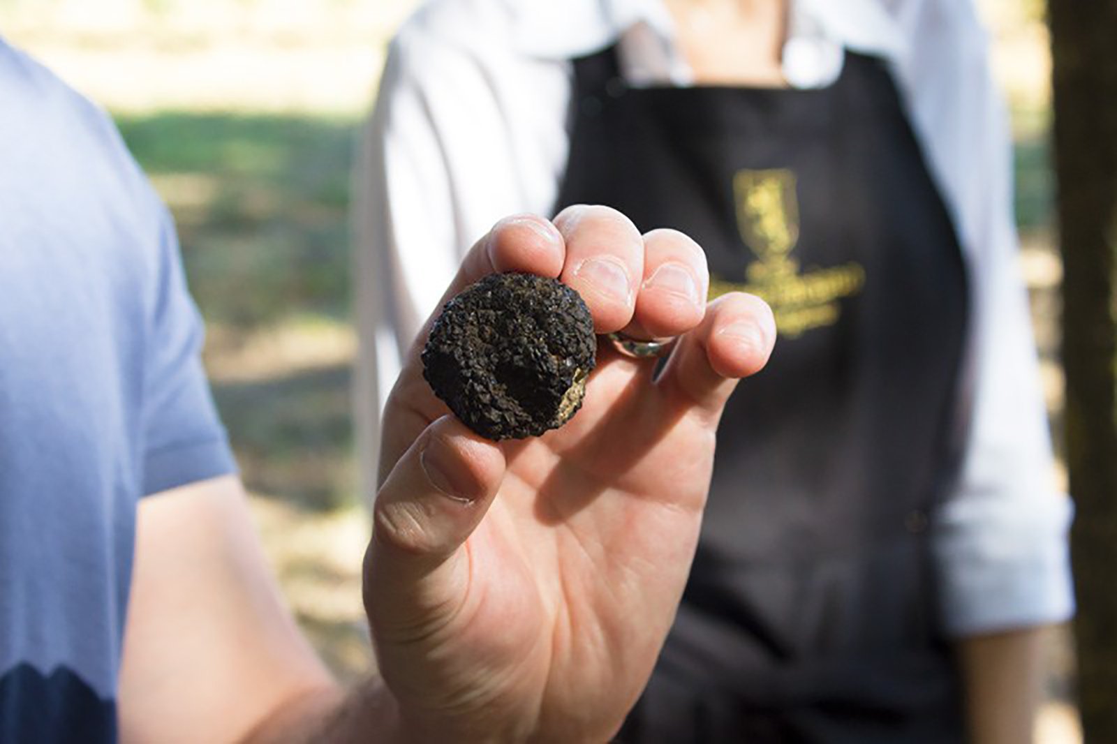 Tuscany truffle hunting tour with dogs and lunch — image 6