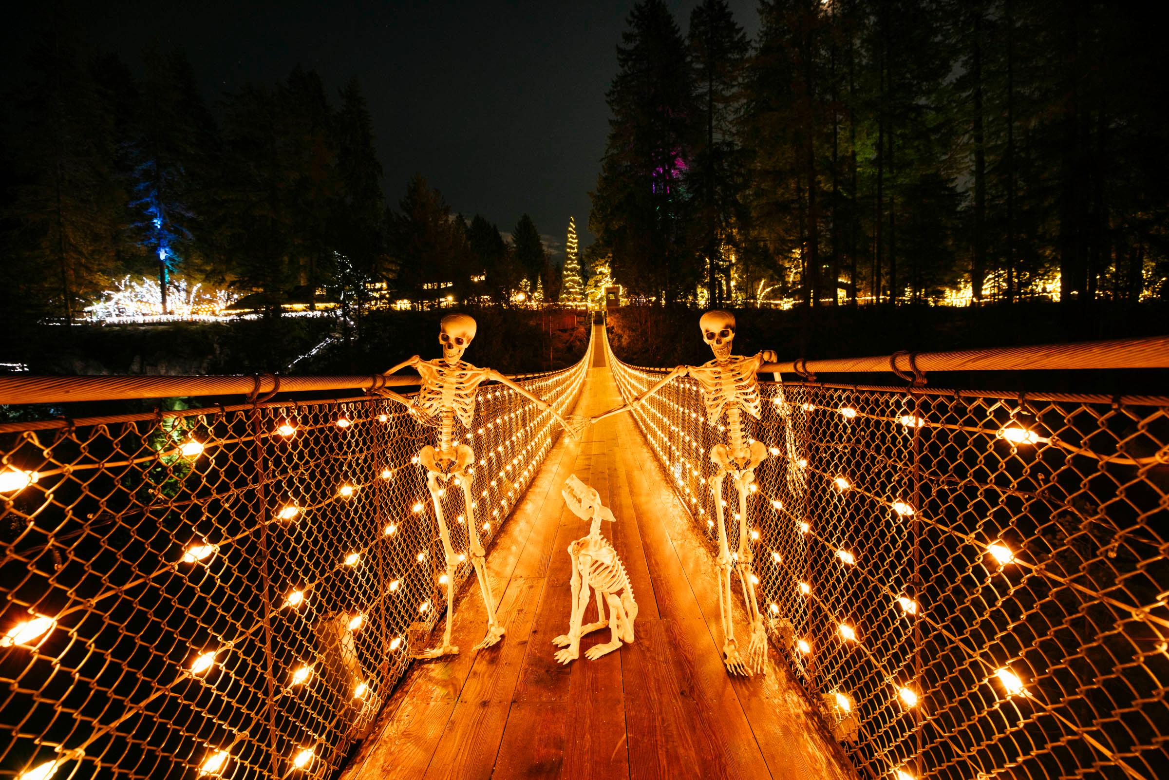 Vancouver North Shore & Capilano Canyon Lights Explorer