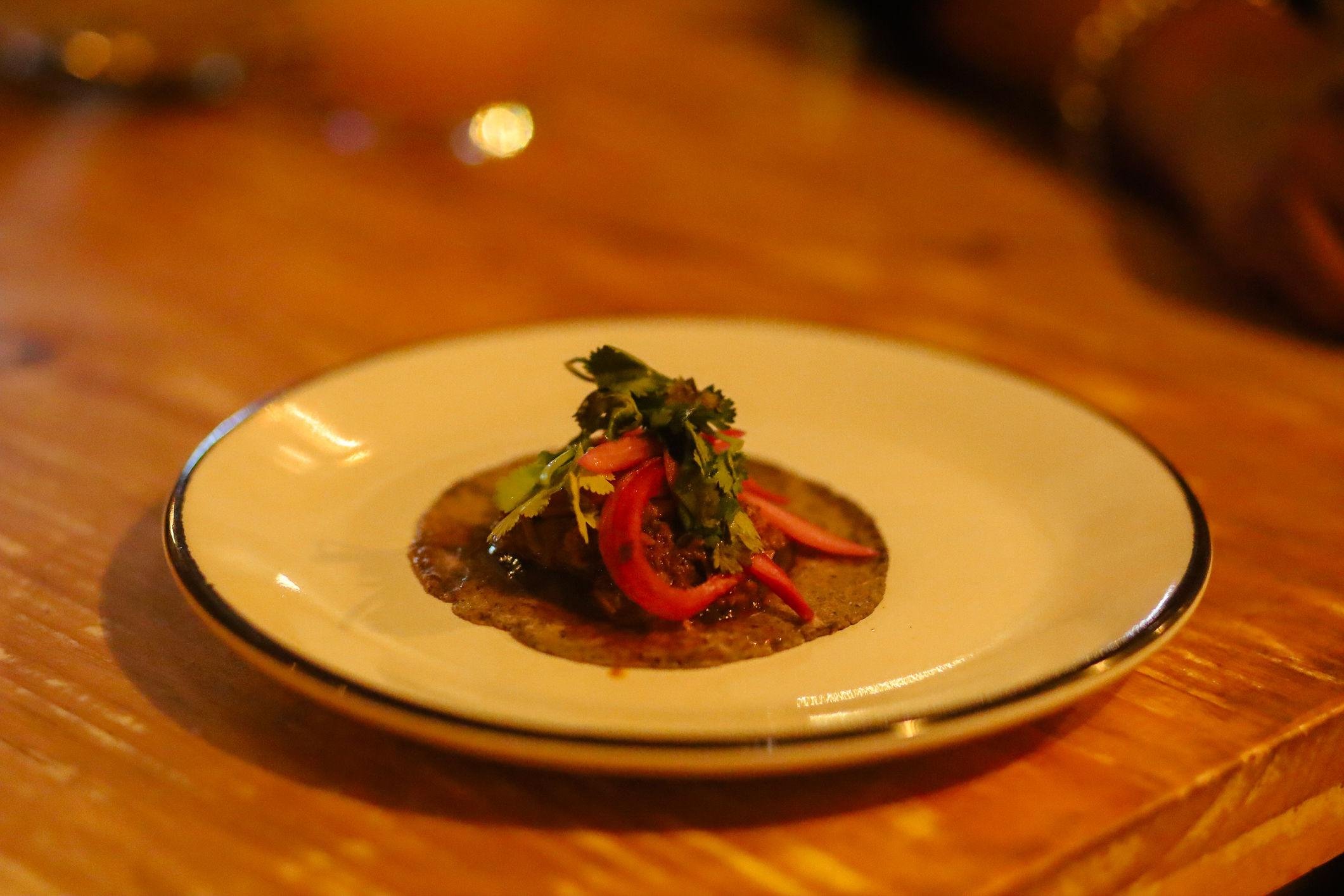 Playa del Carmen: Gourmet Tequila & Mezcal Pairing Tour
