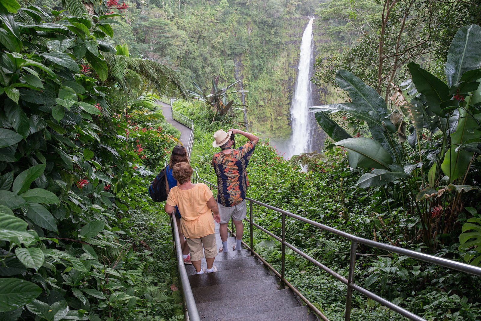 Big Island: Volcanoes, Waterfalls, & Coffee Farm Day-Trip — Kilauea and Hawaii Volcanoes National Park scenery (2)