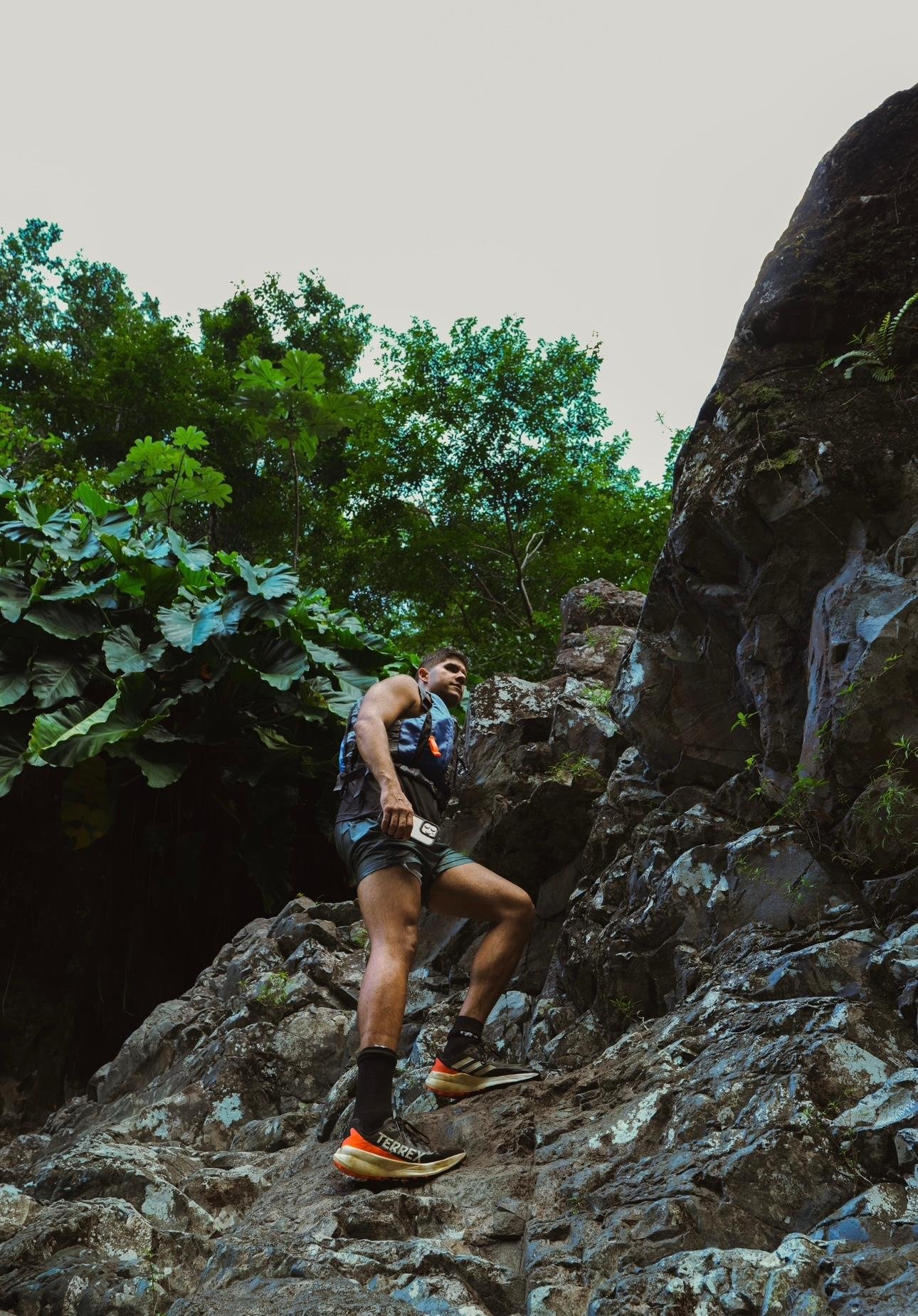 El Yunque Rainforest Adventure & Natural Waterslide Tour