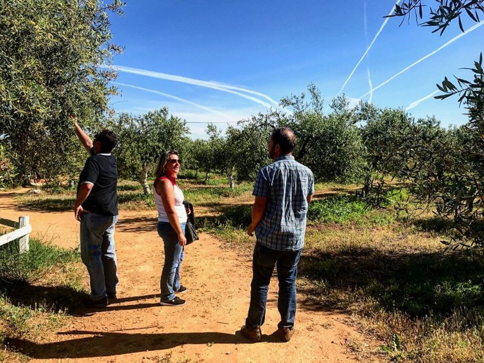 olive oil tasting in Seville — photo 3