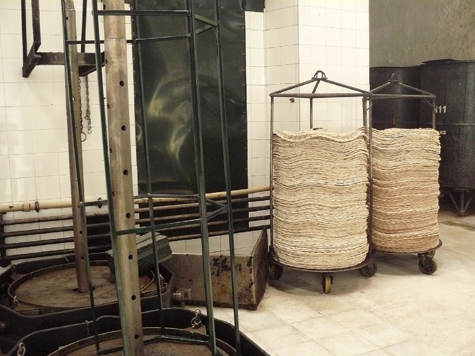 olive oil tasting in Seville — photo 7