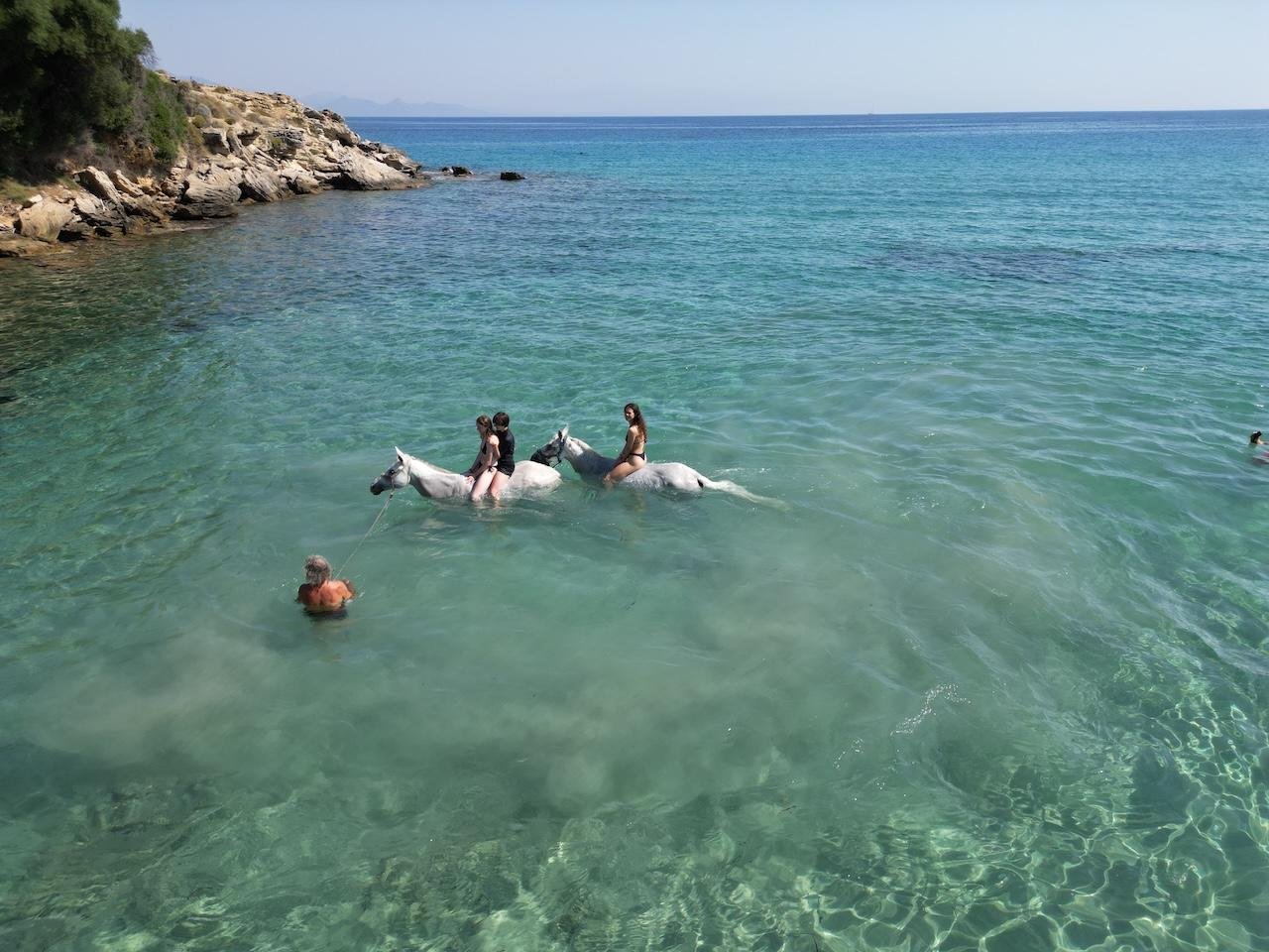 Zakynthos: Yotomu Horse Riding and Swimming Experience