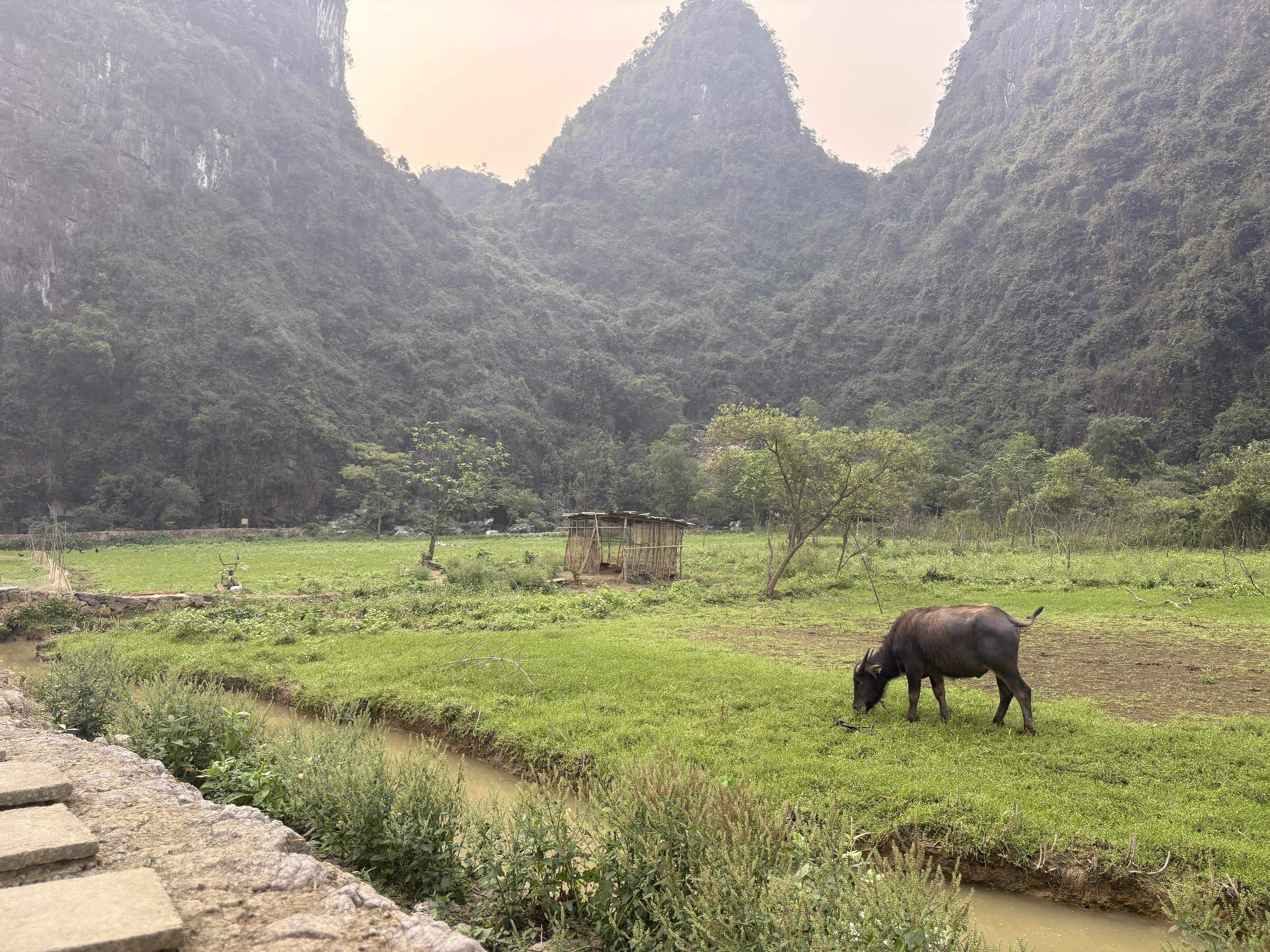 Ninh Binh E-Bike Adventure: Hidden Valleys & Village Temple