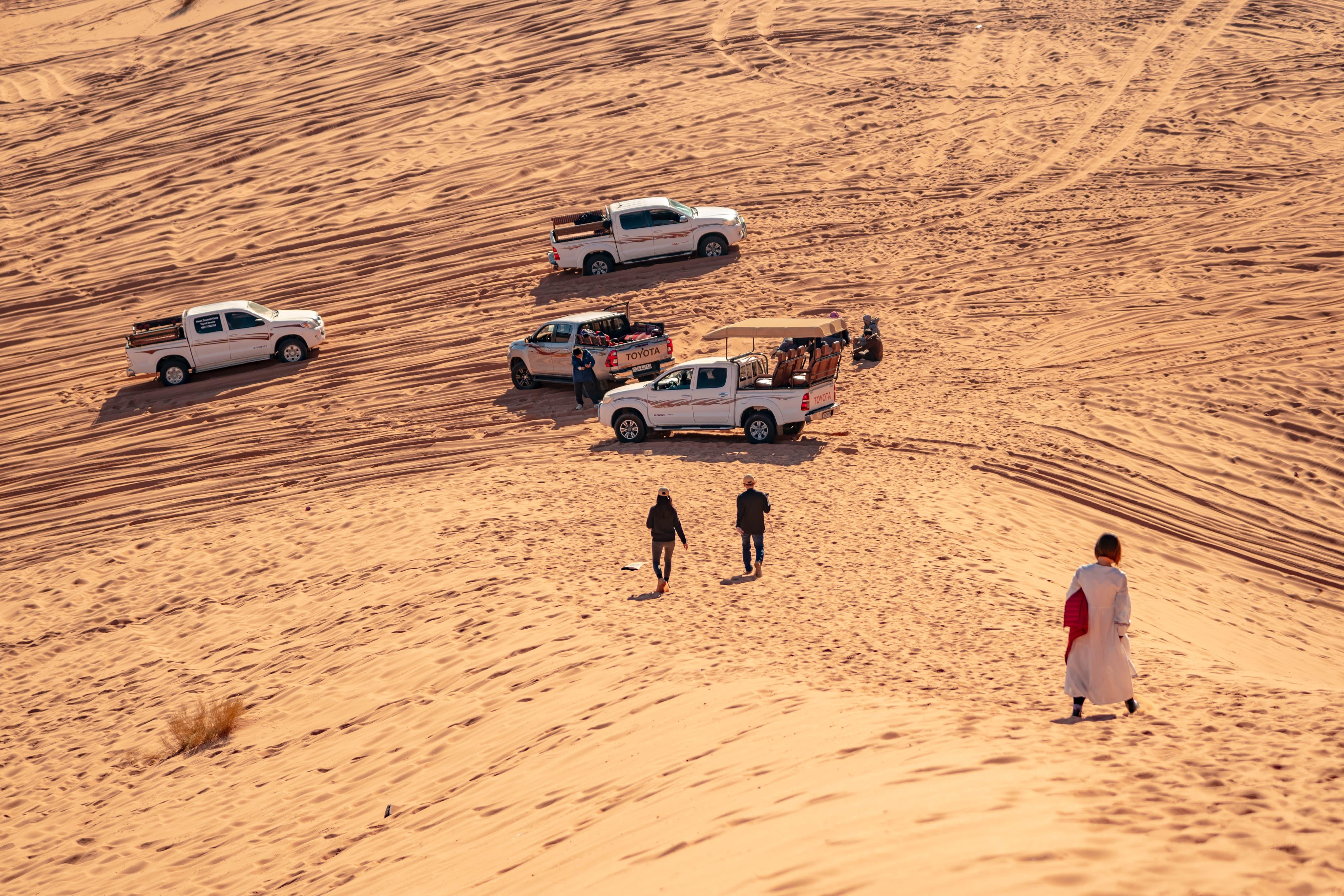 Petra & Wadi Rum: One-Day Private or Group Journey