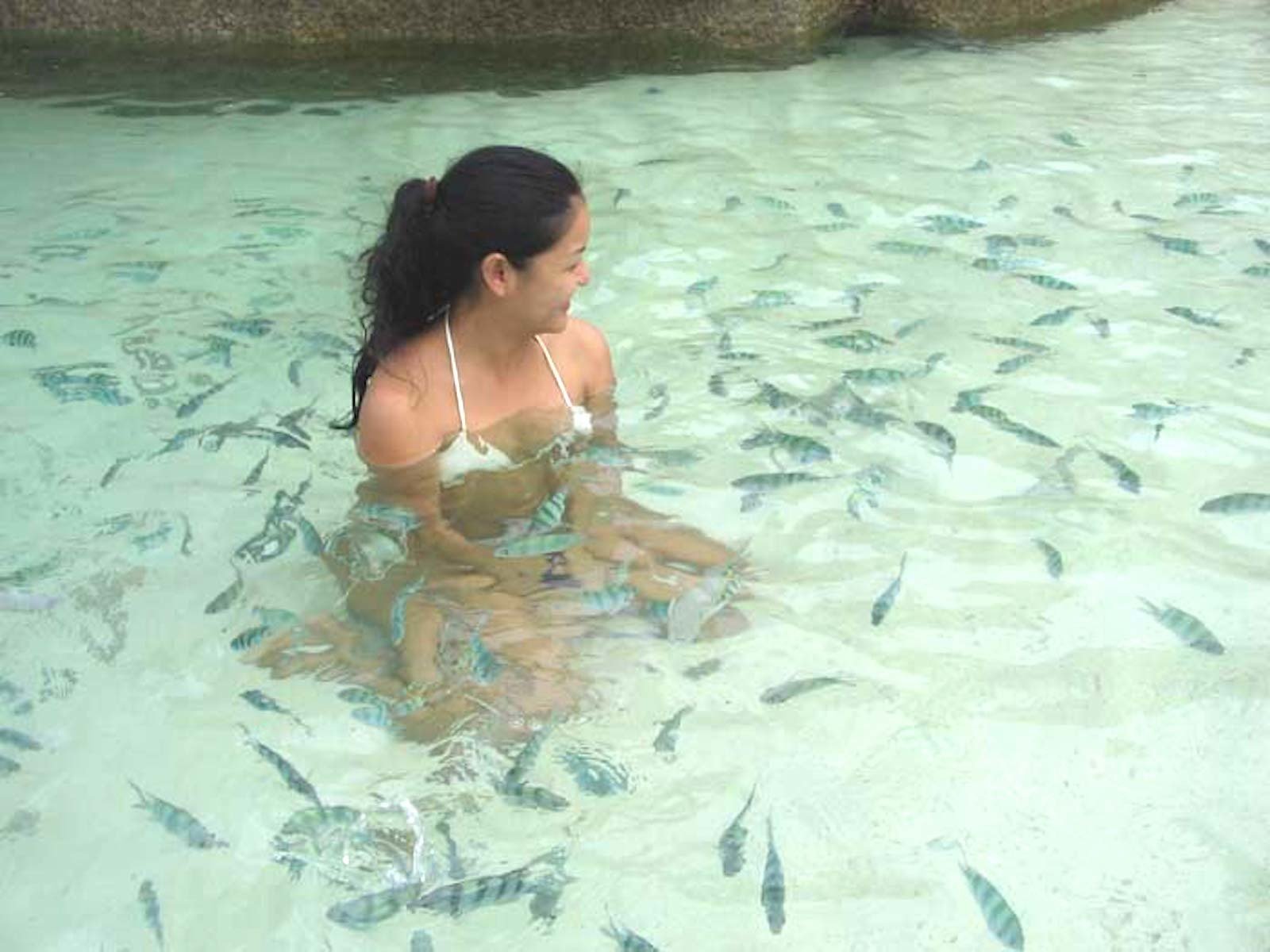 Koh Tao & Koh Nang Yuan Speedboat Adventure from Samui