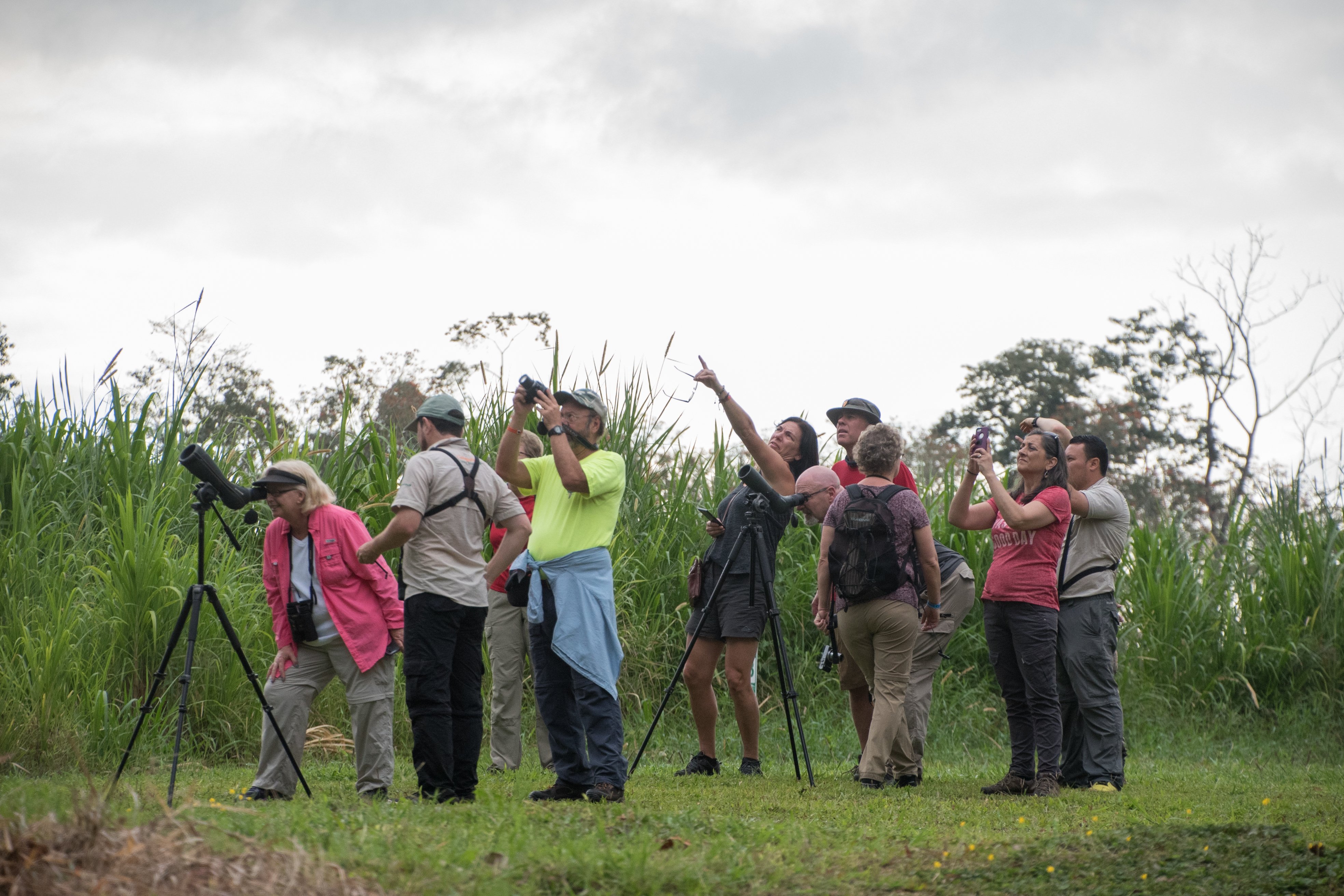 La Fortuna Wild Sloth Safari
