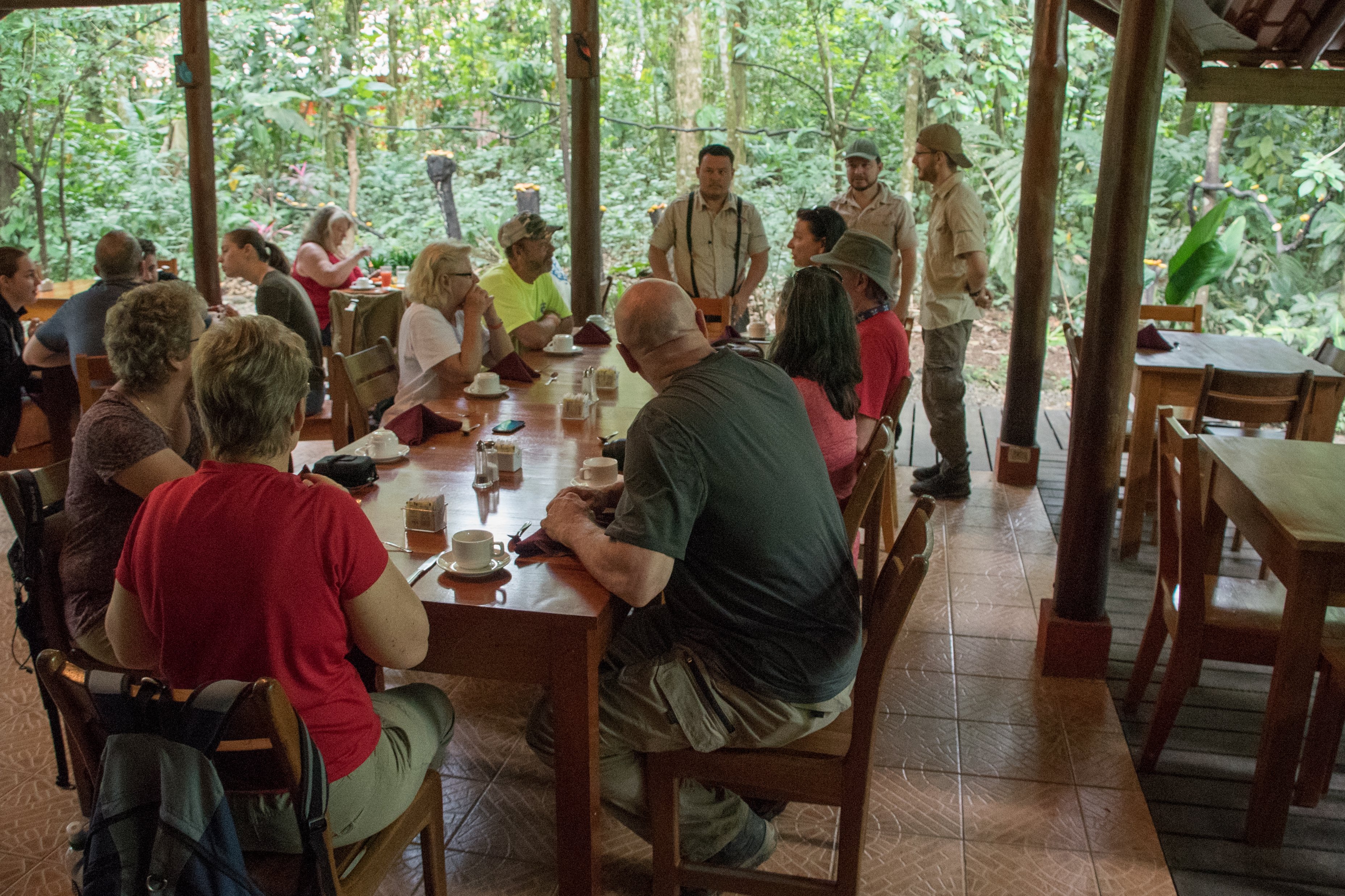 La Fortuna Wild Sloth Safari