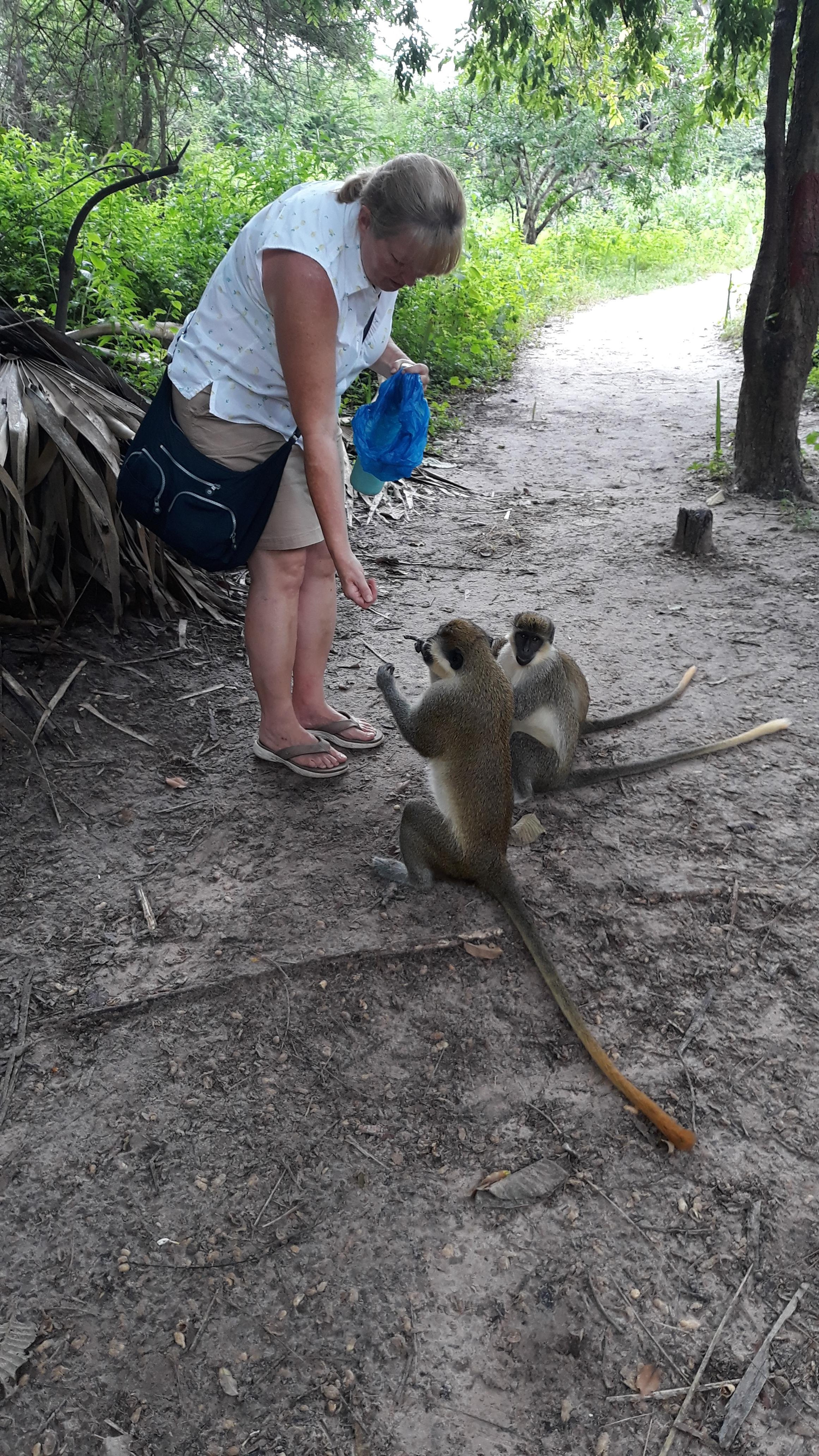 Banjul Capital & Wildlife Half-Day Tour
