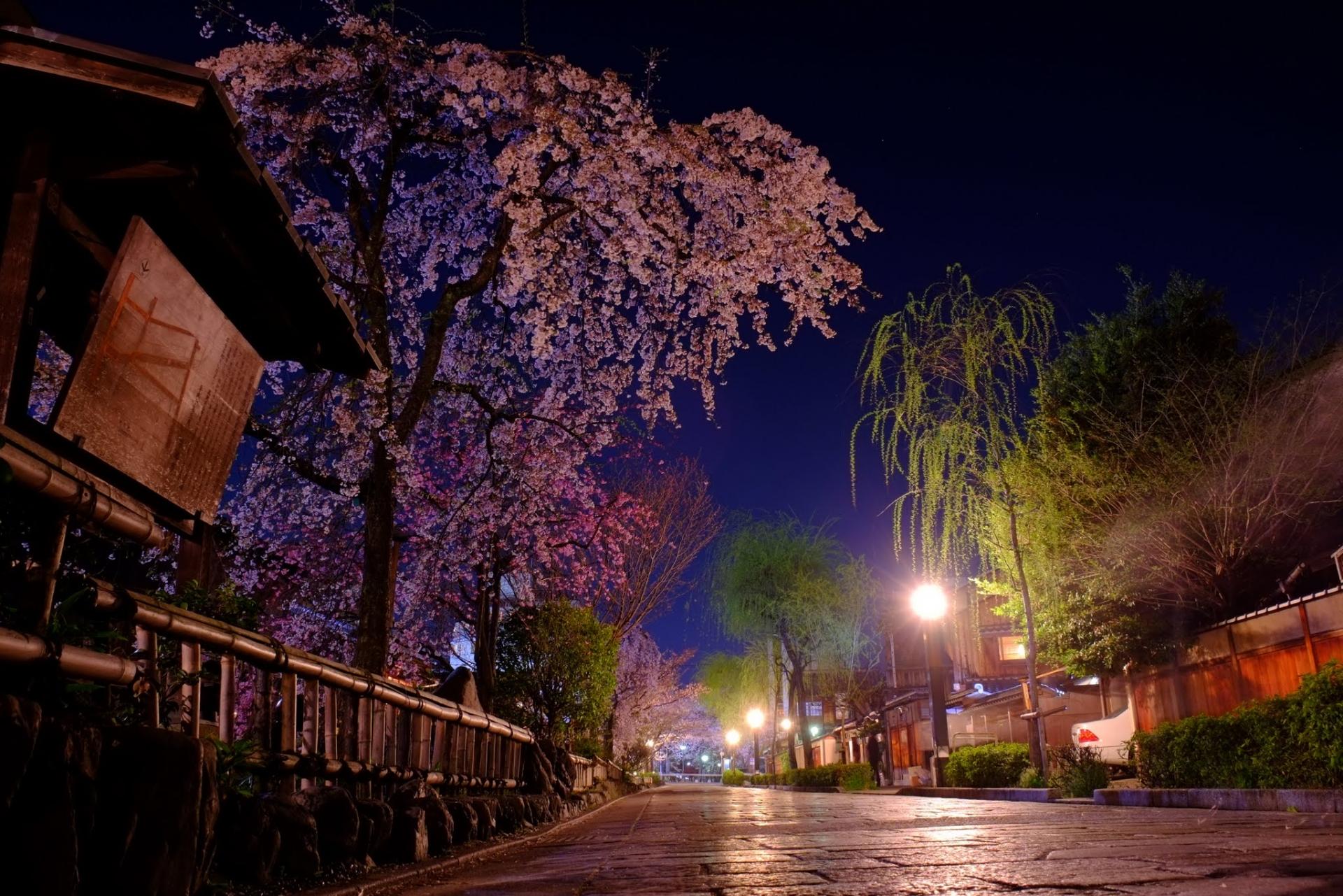 Gion Corner Kyoto - evening streets and teahouse district around the theatre — image 14