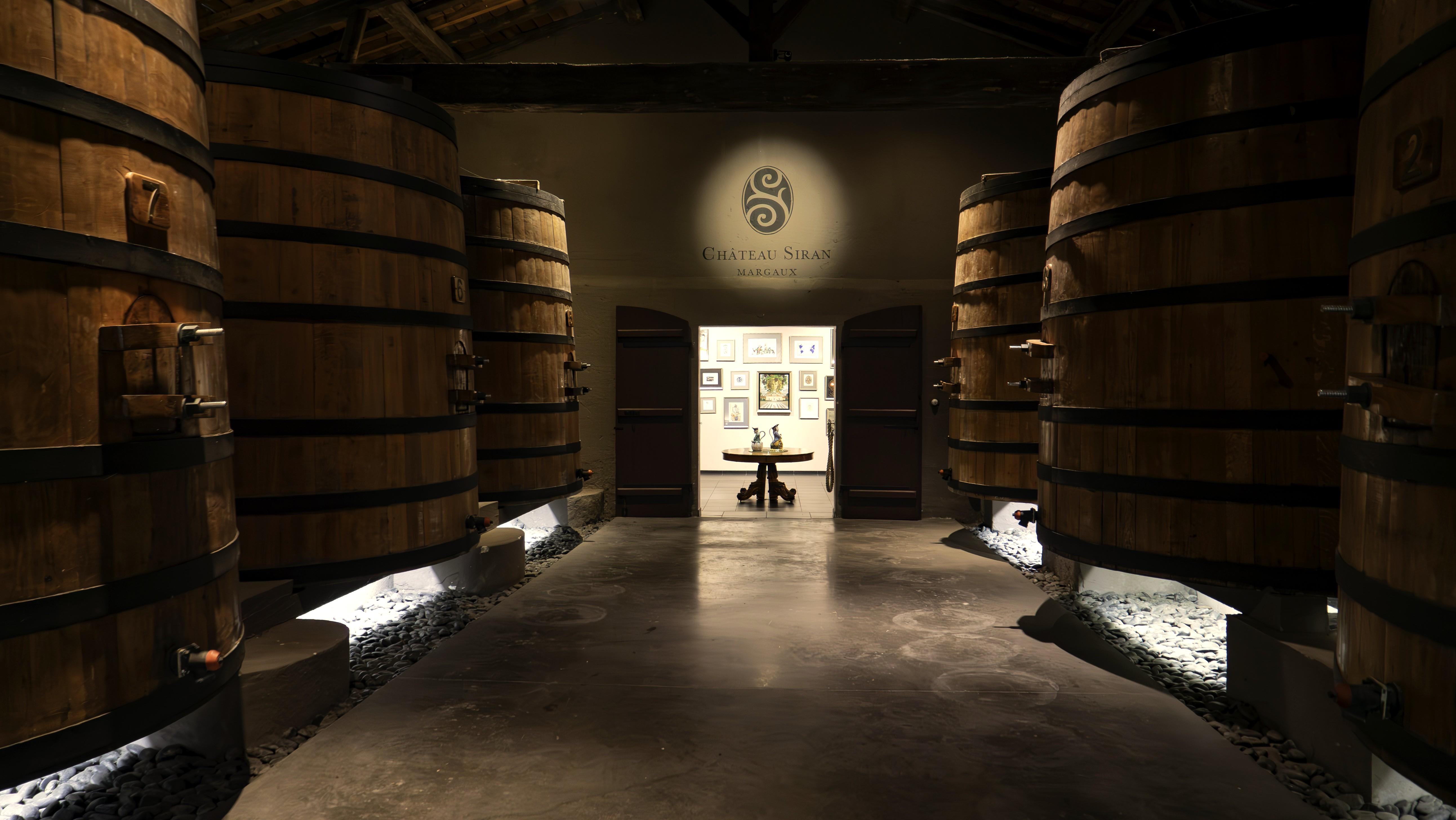 wine tour in Bordeaux — photo 12