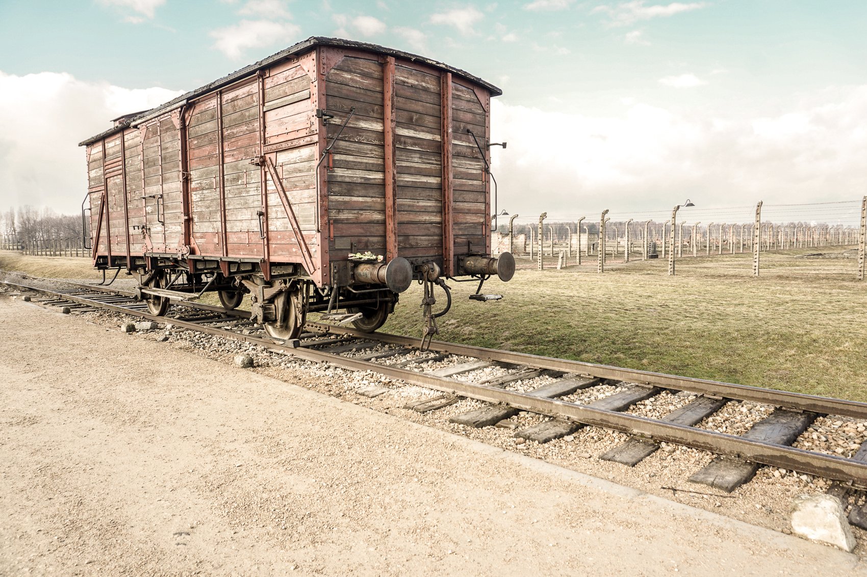 Krakow: Auschwitz-Birkenau and Wieliczka Salt Mine Combo