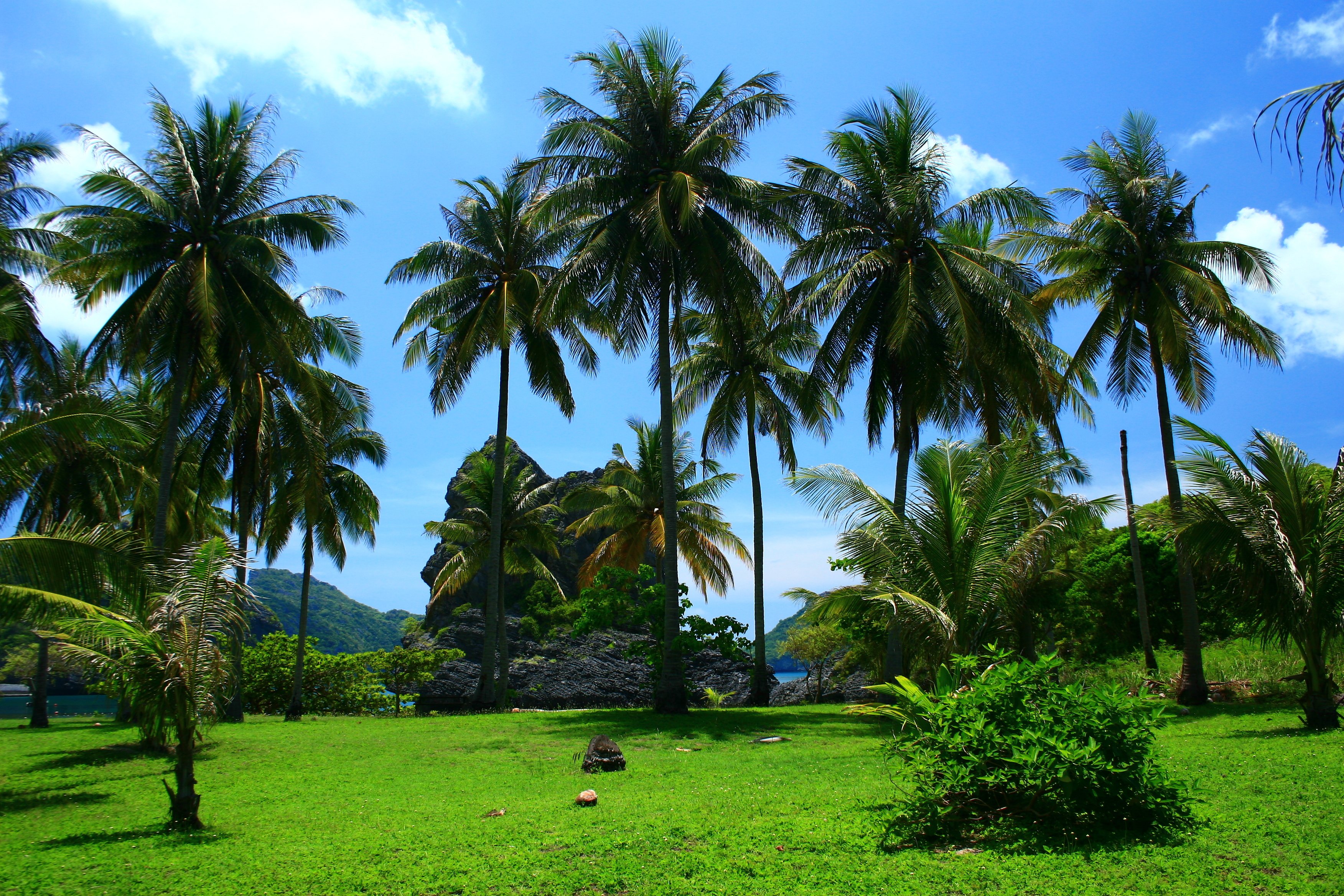 Angthong National Marine Park Speedboat Adventure from Koh Samui