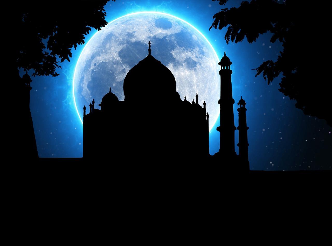 Taj Mahal Moonlight & Agra Full-Day Tour