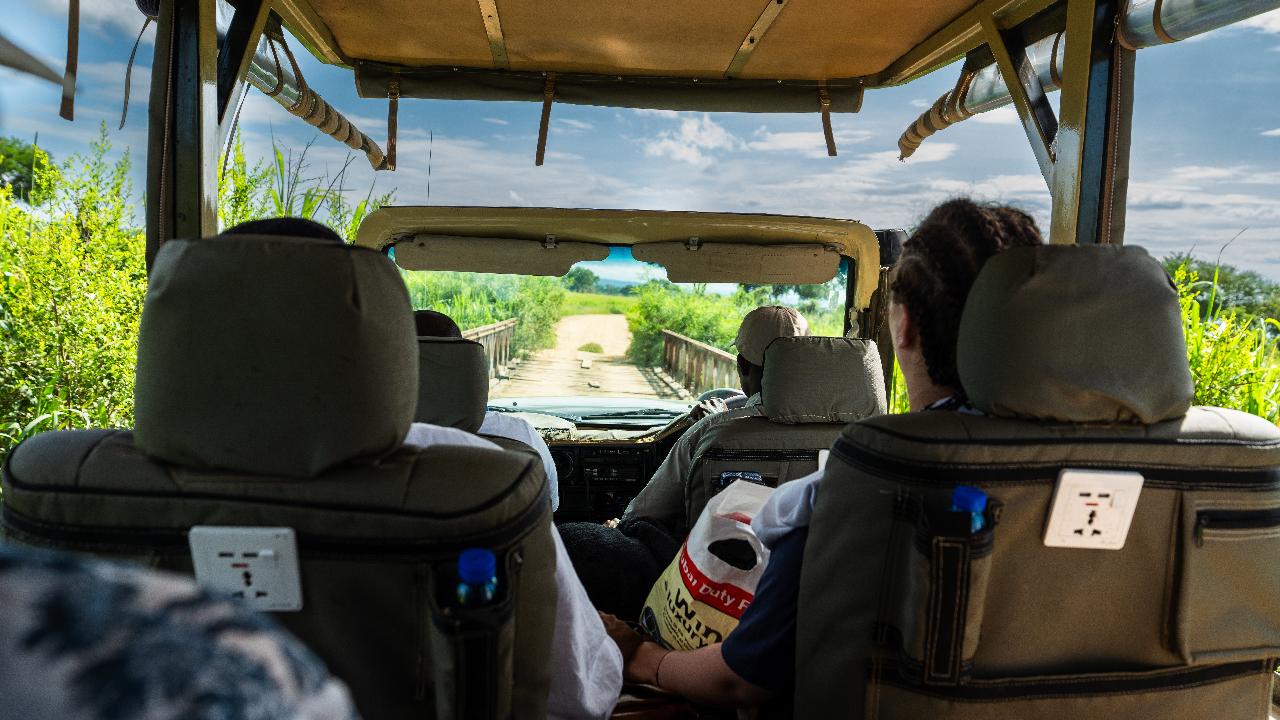 Zanzibar to Mikumi: Fly-In Safari Day Trip with Bush Lunch