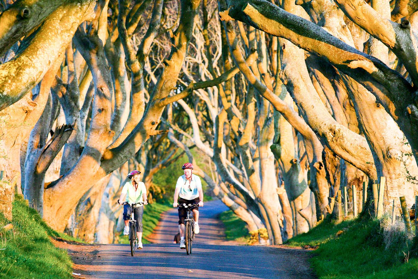Titanic Belfast & Giant's Causeway Tours — image 7