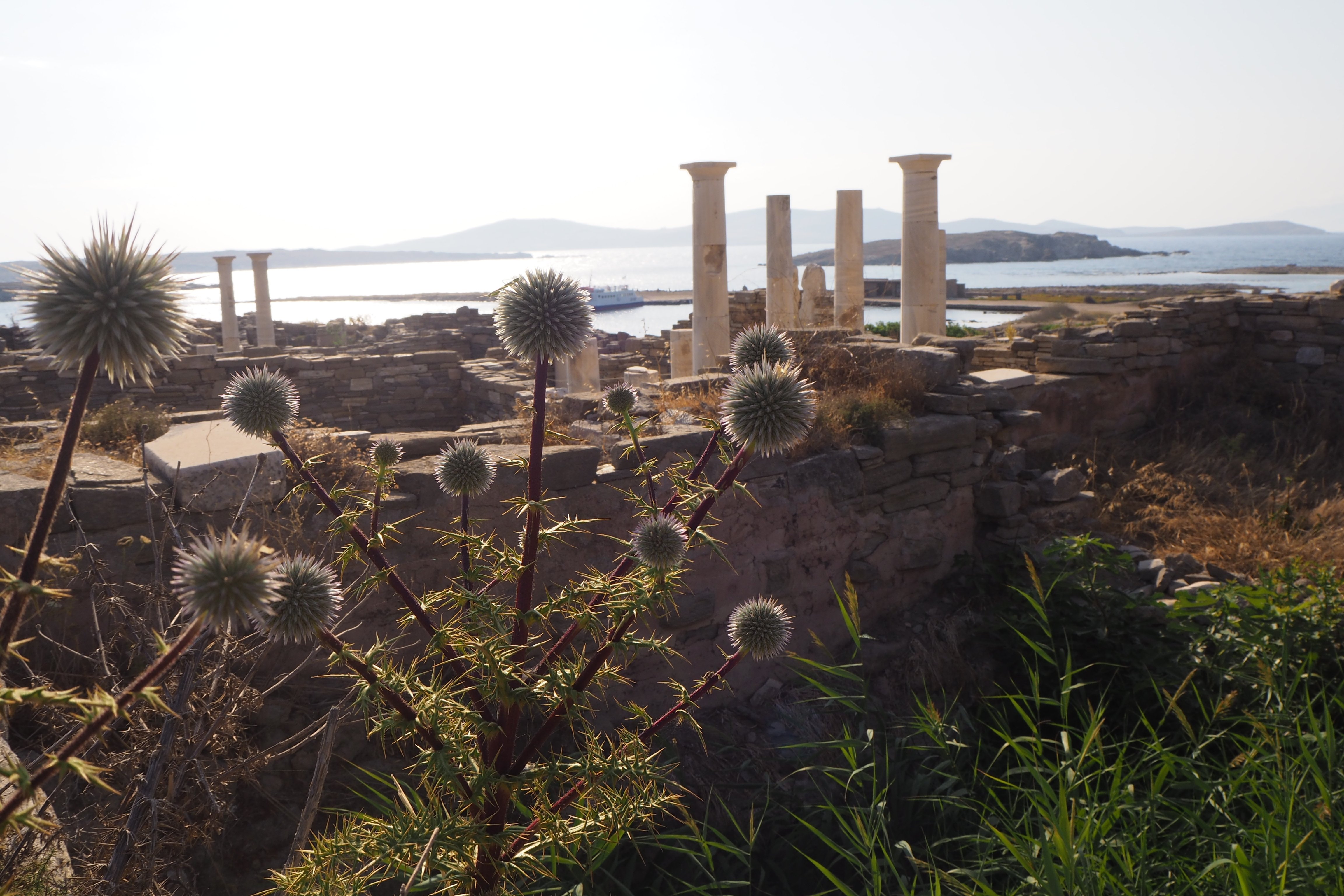 Delos Island Roundtrip Ferry from Mykonos