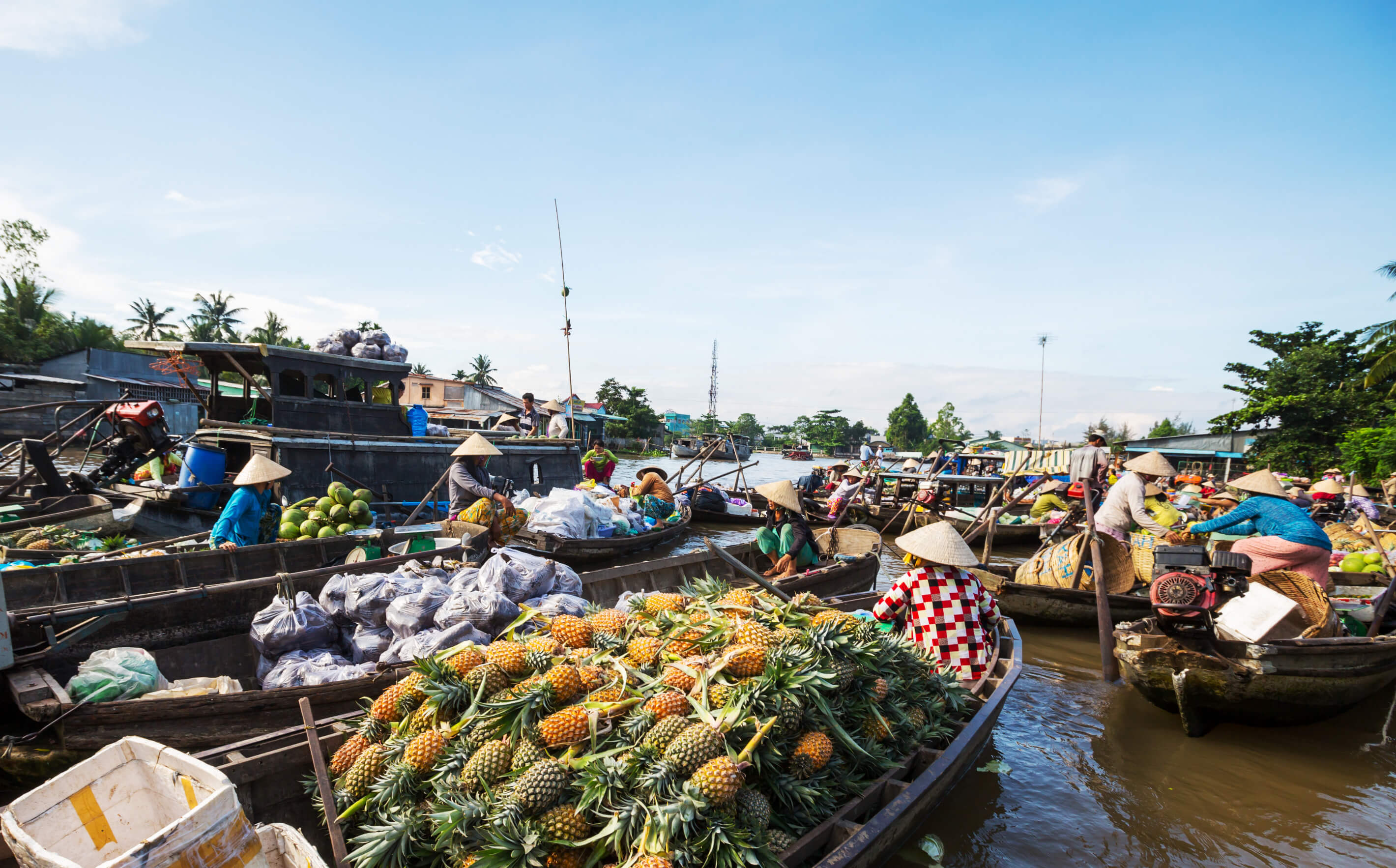 2-Day Mekong Delta & Cai Rang Floating Market Expedition