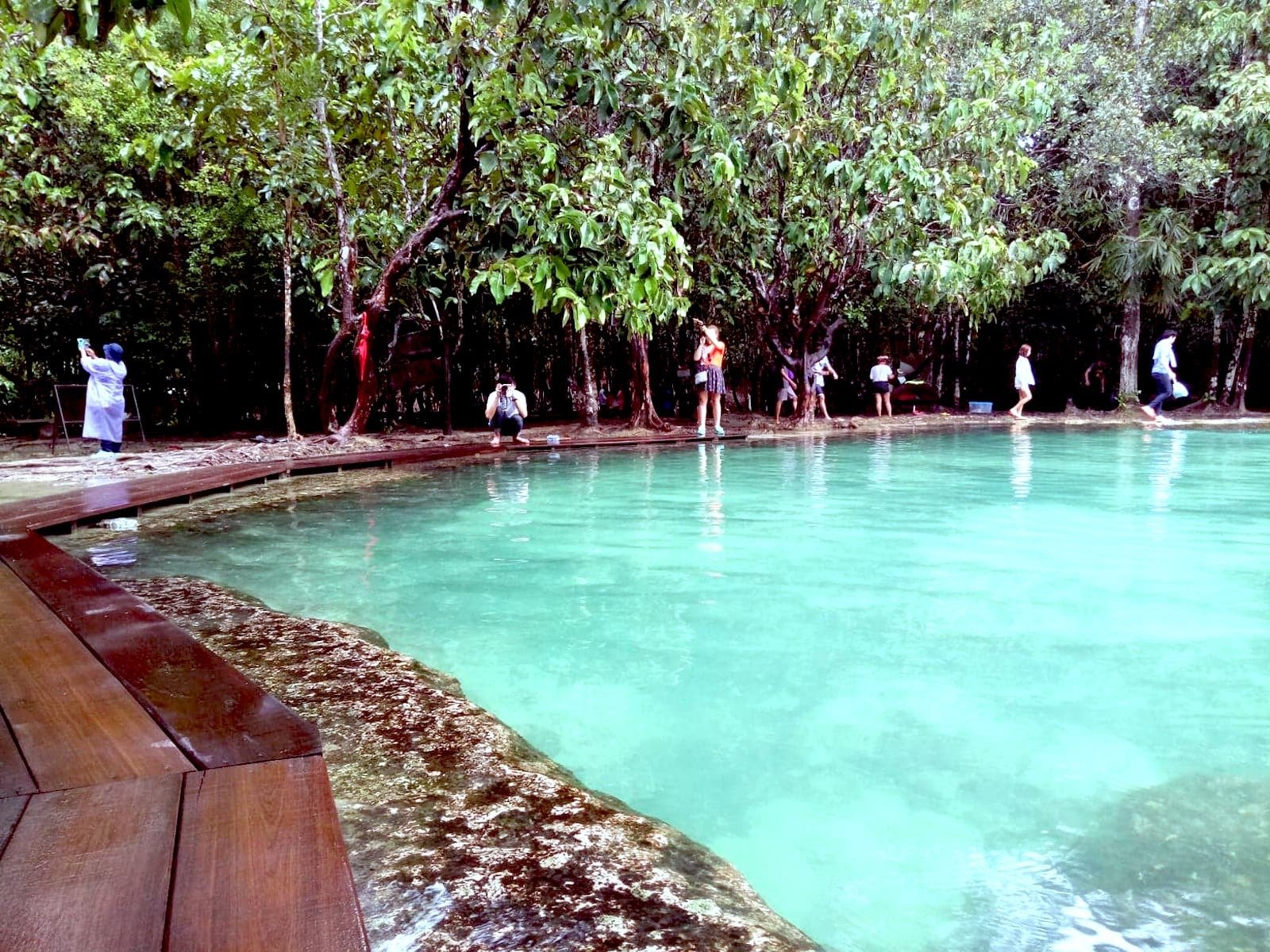 Krabi Private Day Trip: Tiger Cave Temple, Emerald Pool & Hot Spring