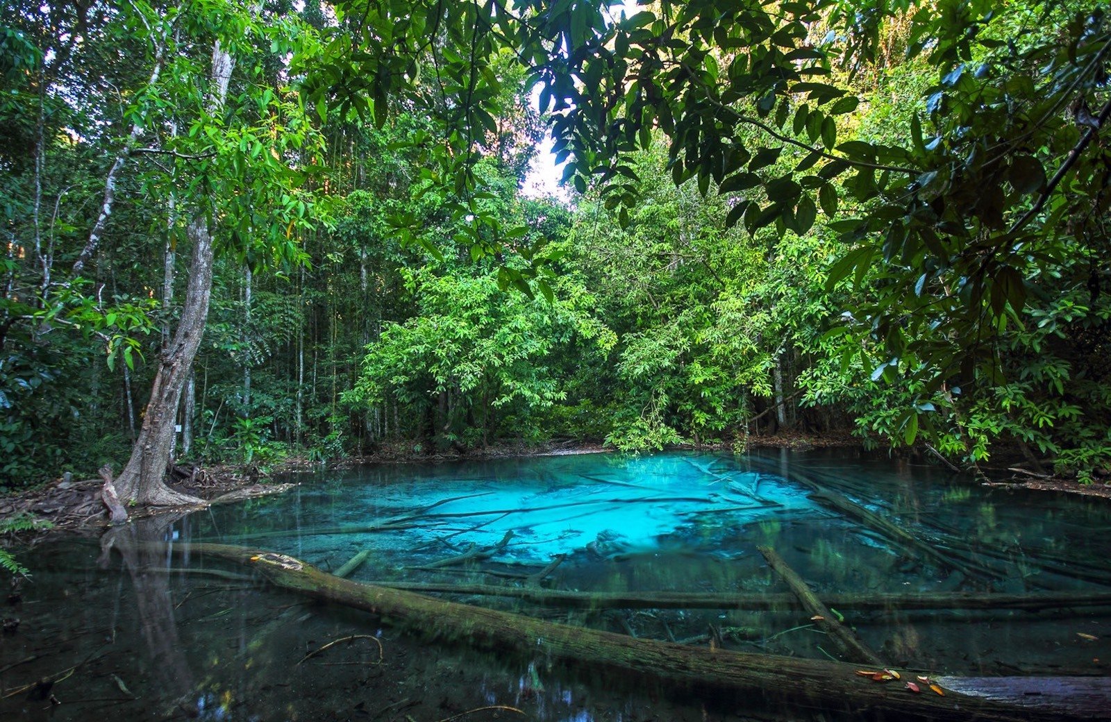Krabi Jungle Day Tour: Emerald Pool, Hot Springs & Tiger Cave Temple