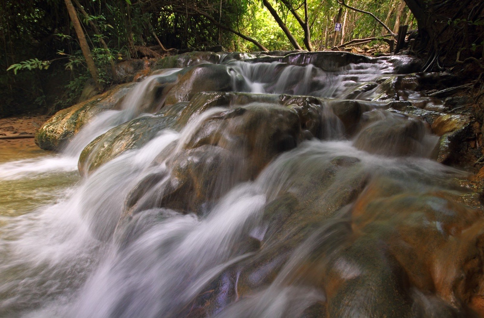 Krabi Jungle Day Tour: Emerald Pool, Hot Springs & Tiger Cave Temple