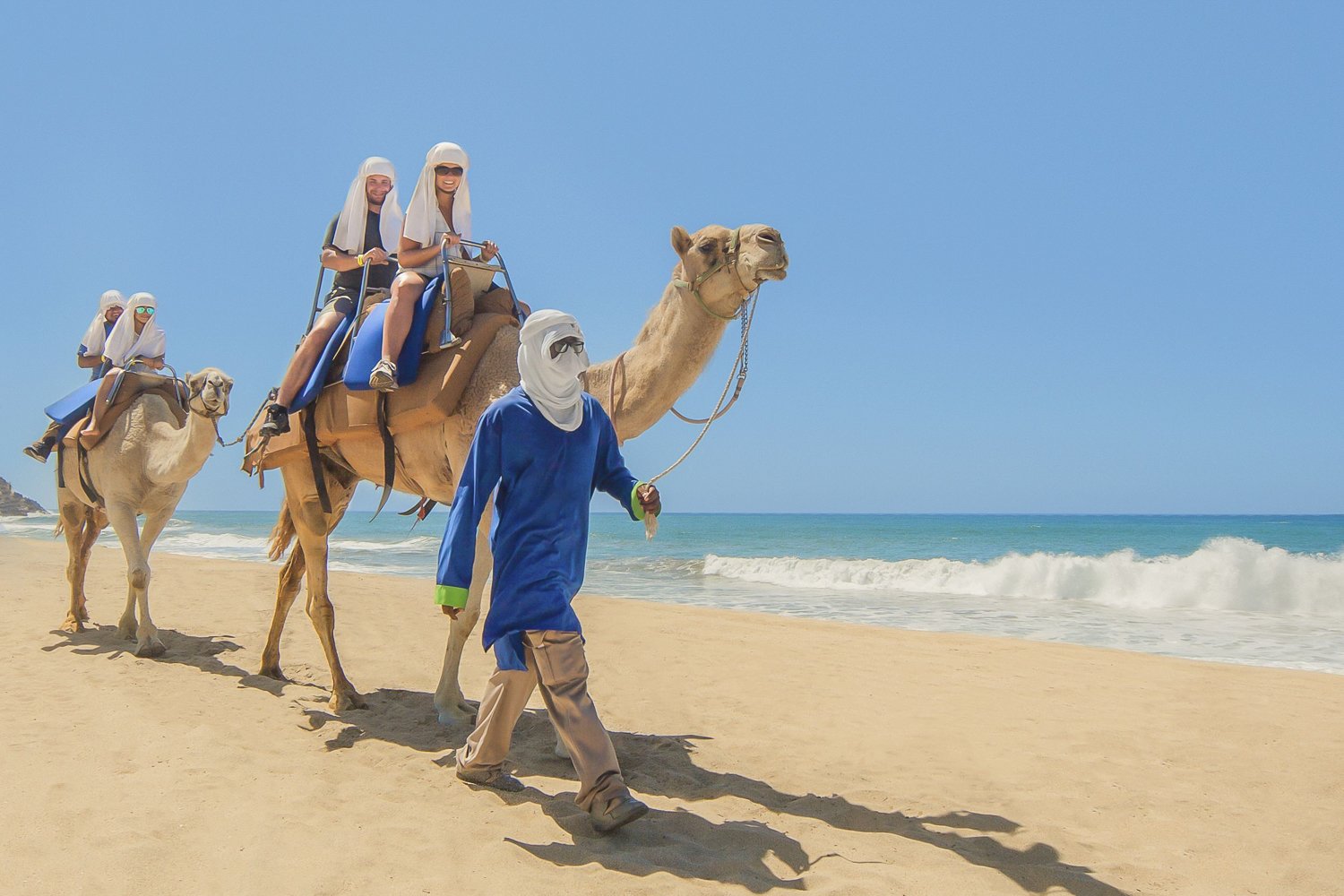 Cabo San Lucas Camel Safari with Lunch & Tequila Tasting