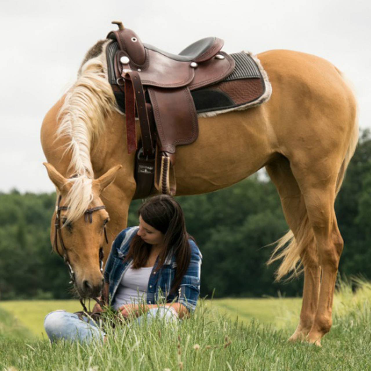 Sierra de Guadarrama Horseback Riding Adventure
