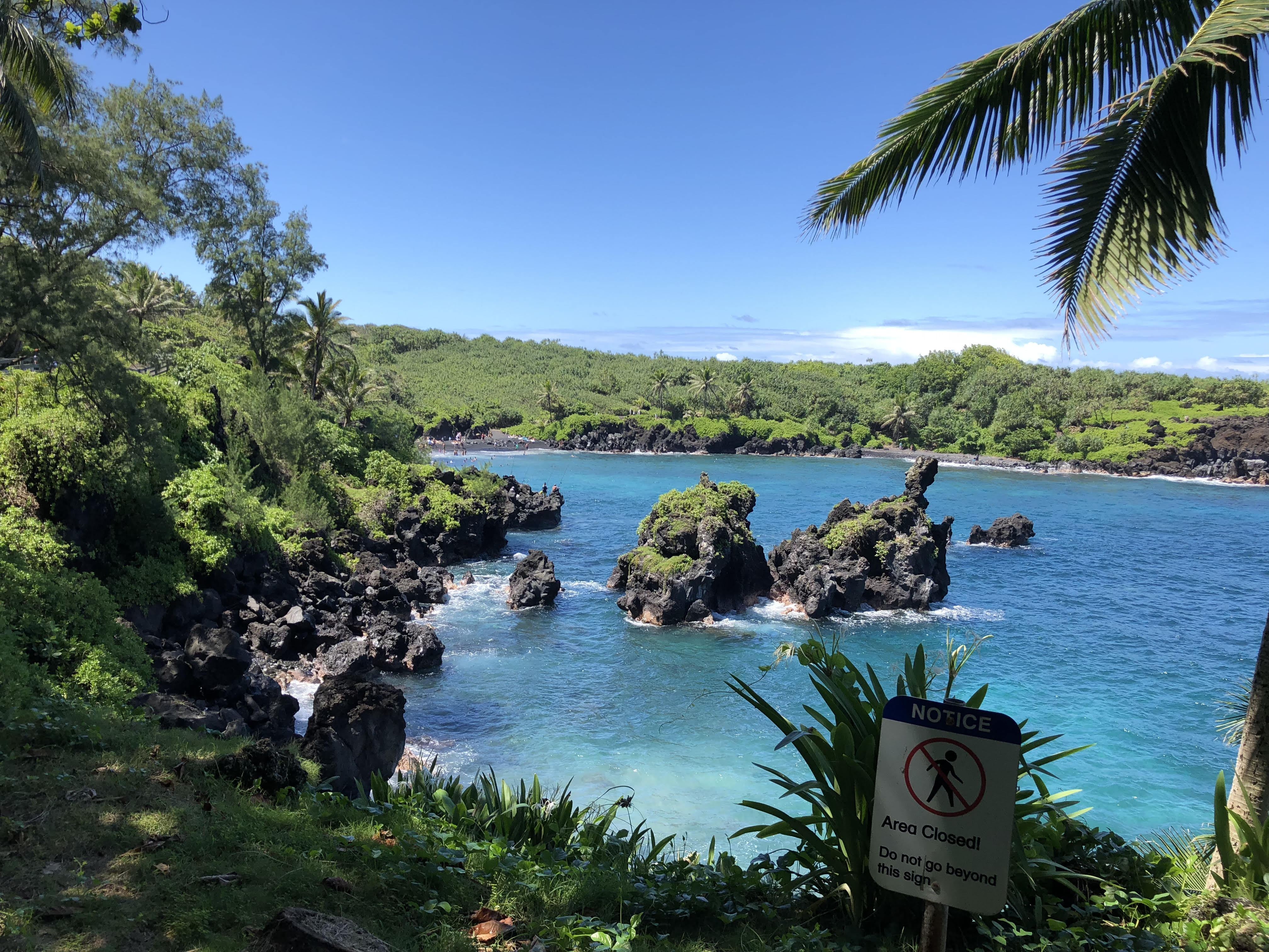 Road to Hana tour on Maui — Hāna Highway waterfalls and black-sand beach — image 12