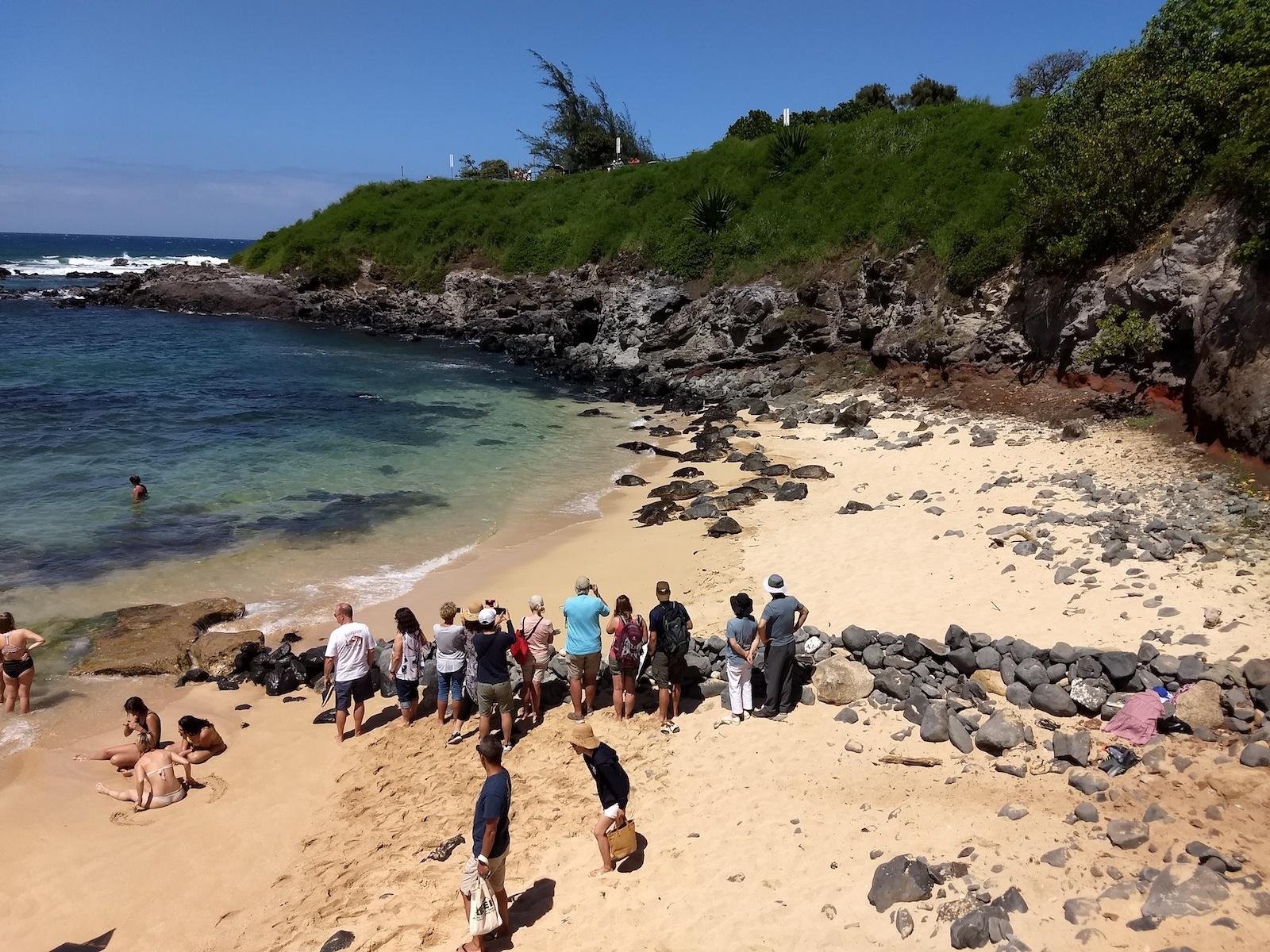 Road to Hana tour on Maui — Hāna Highway waterfalls and black-sand beach — image 11