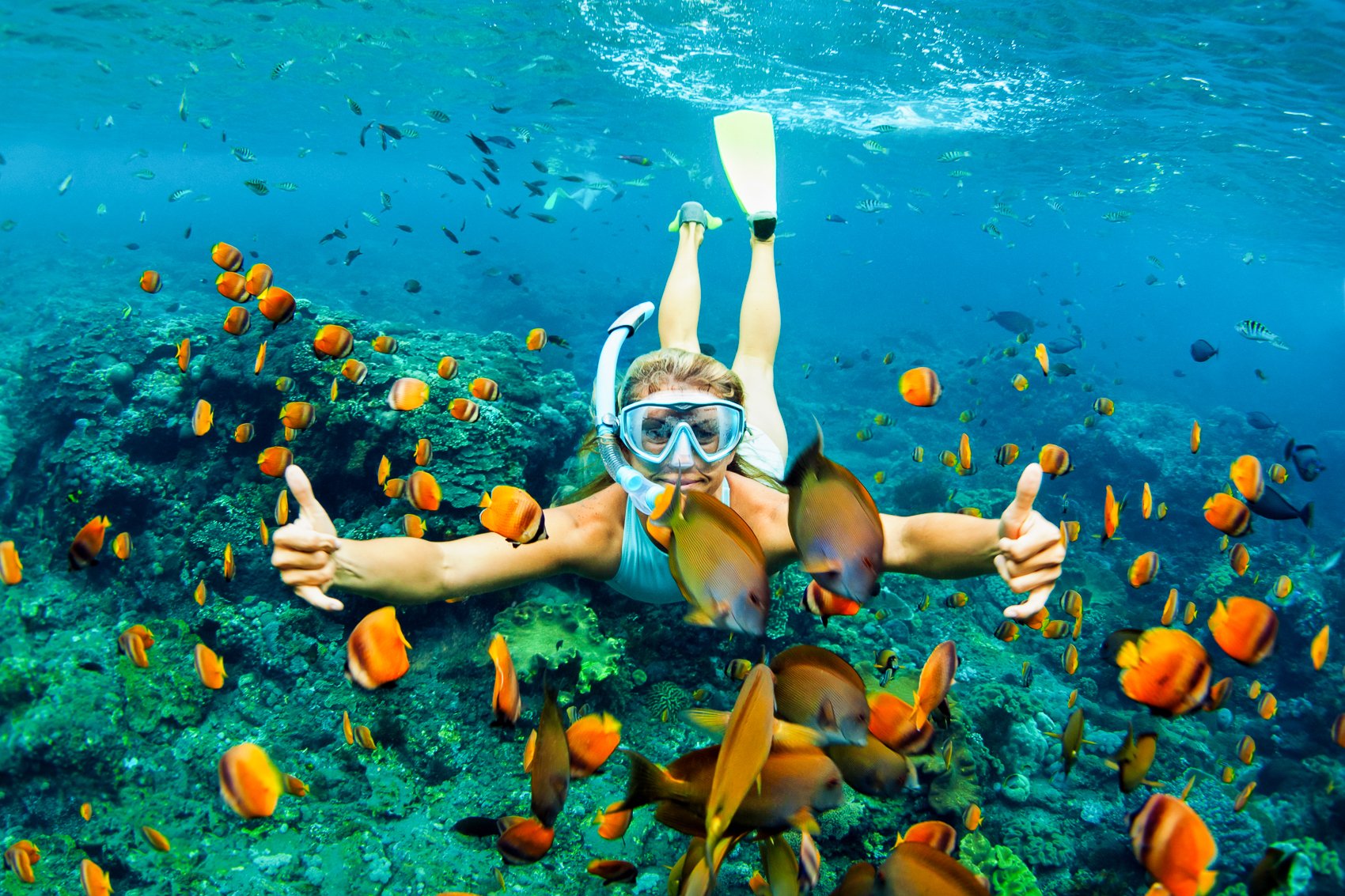 Turtle Reef Snorkel Adventure with Breakfast & Lunch