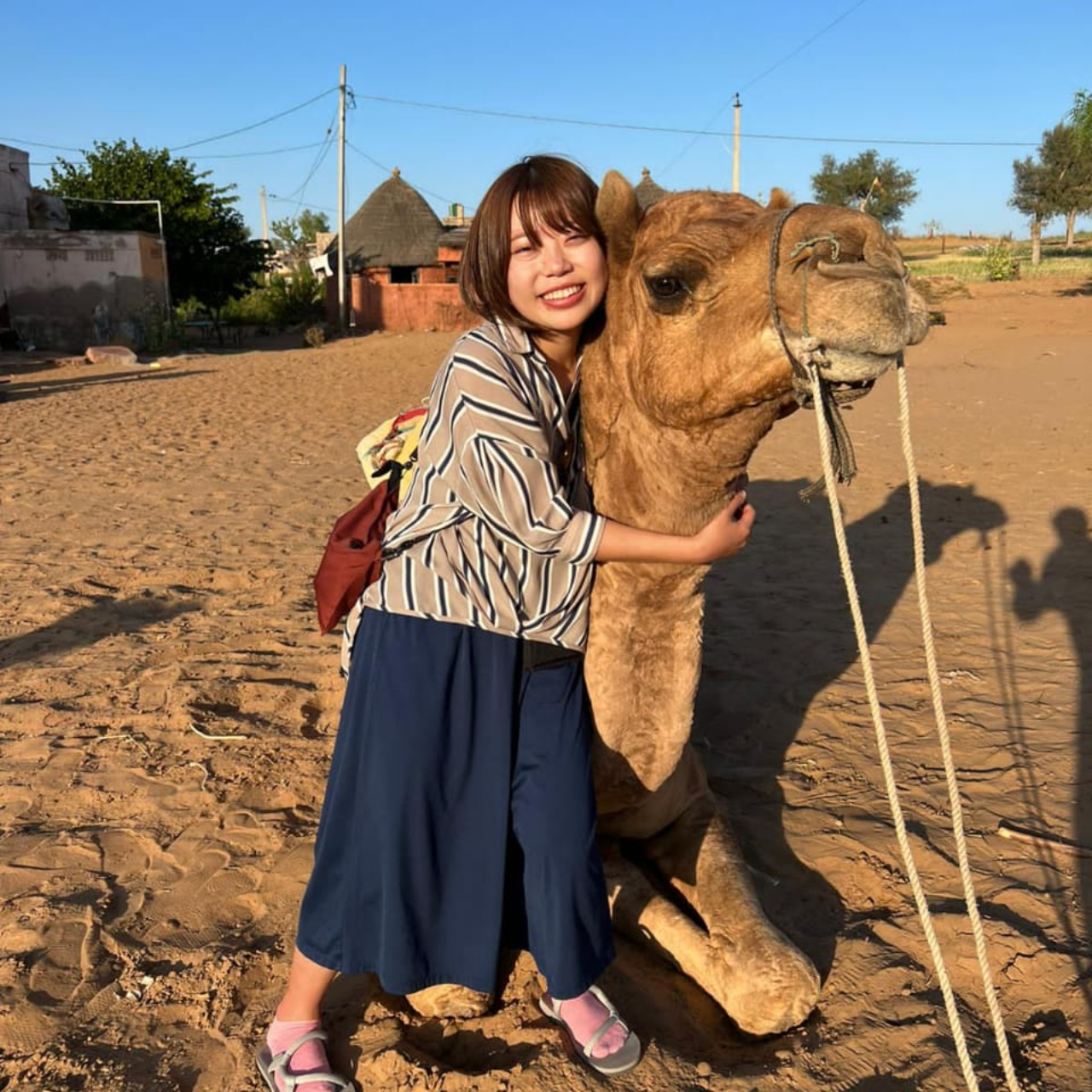 Thar Desert Overnight Camel Safari & Village Stay