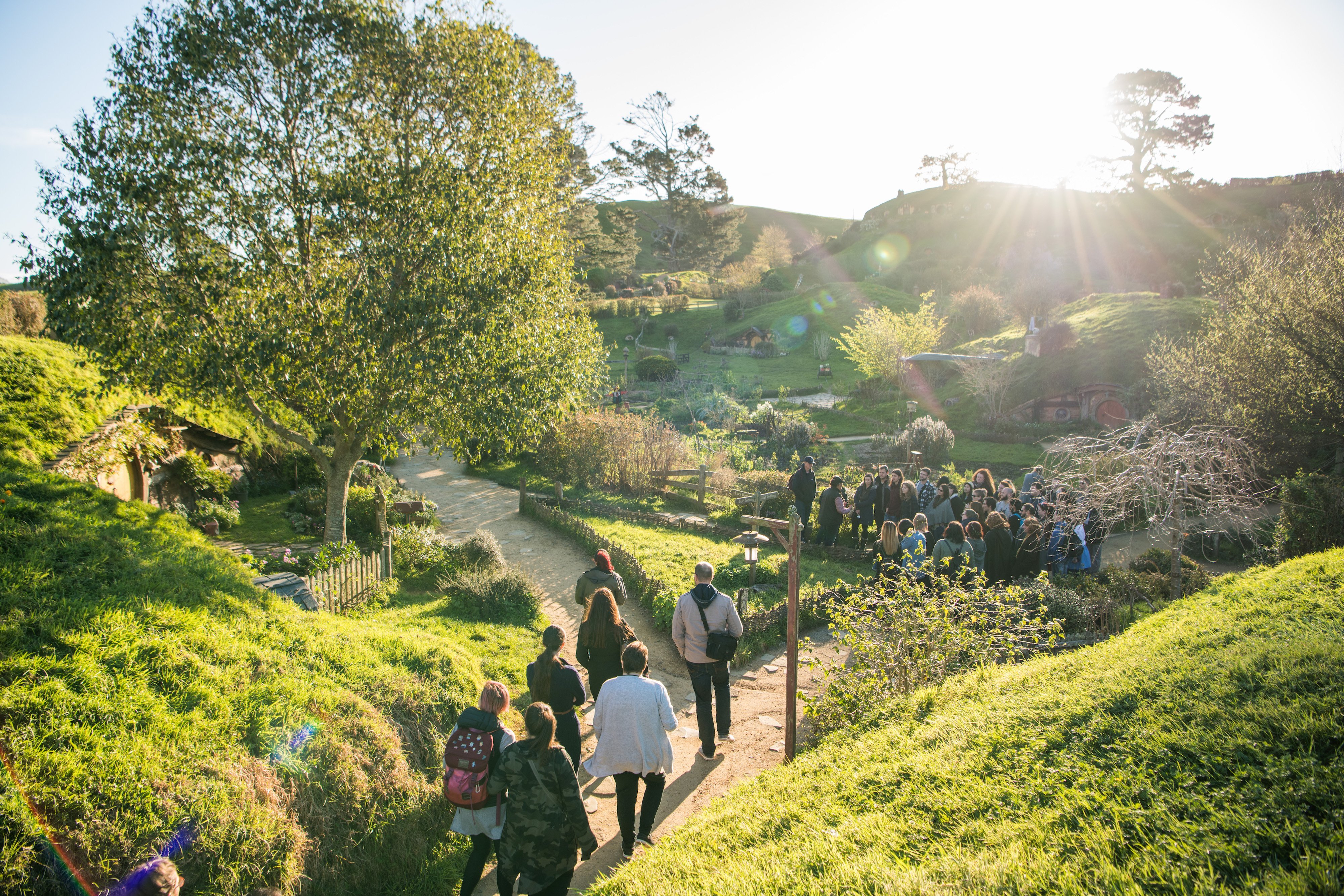 Hobbiton Movie Set: Guided Tour Ticket
