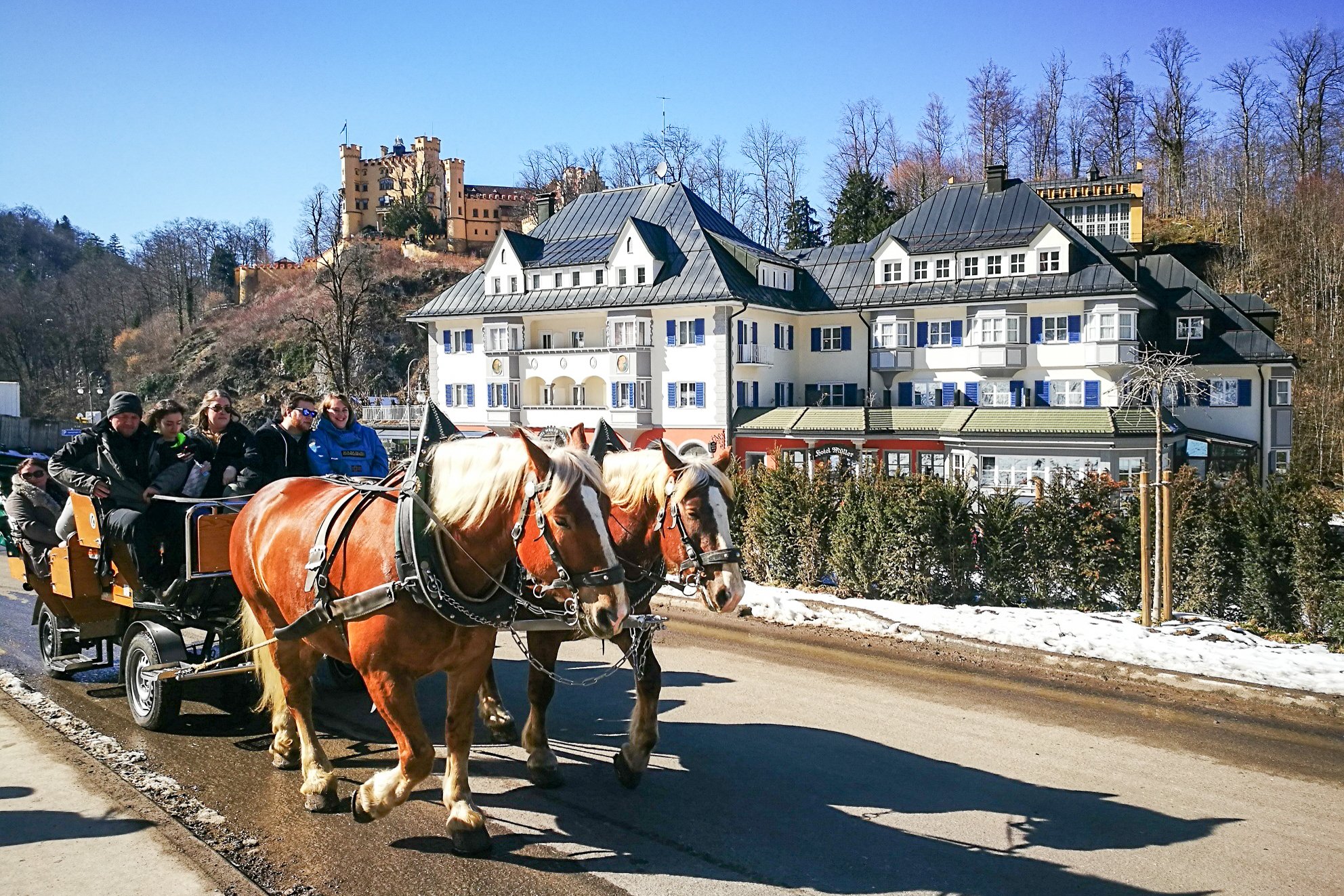 Munich: Neuschwanstein by Bus & Opt. Munich Xmas Market Tour - 2026 (Verified Reviews)