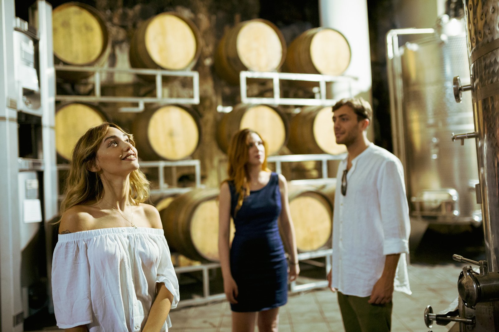 Mount Etna Vineyard & Culinary Expedition from Taormina