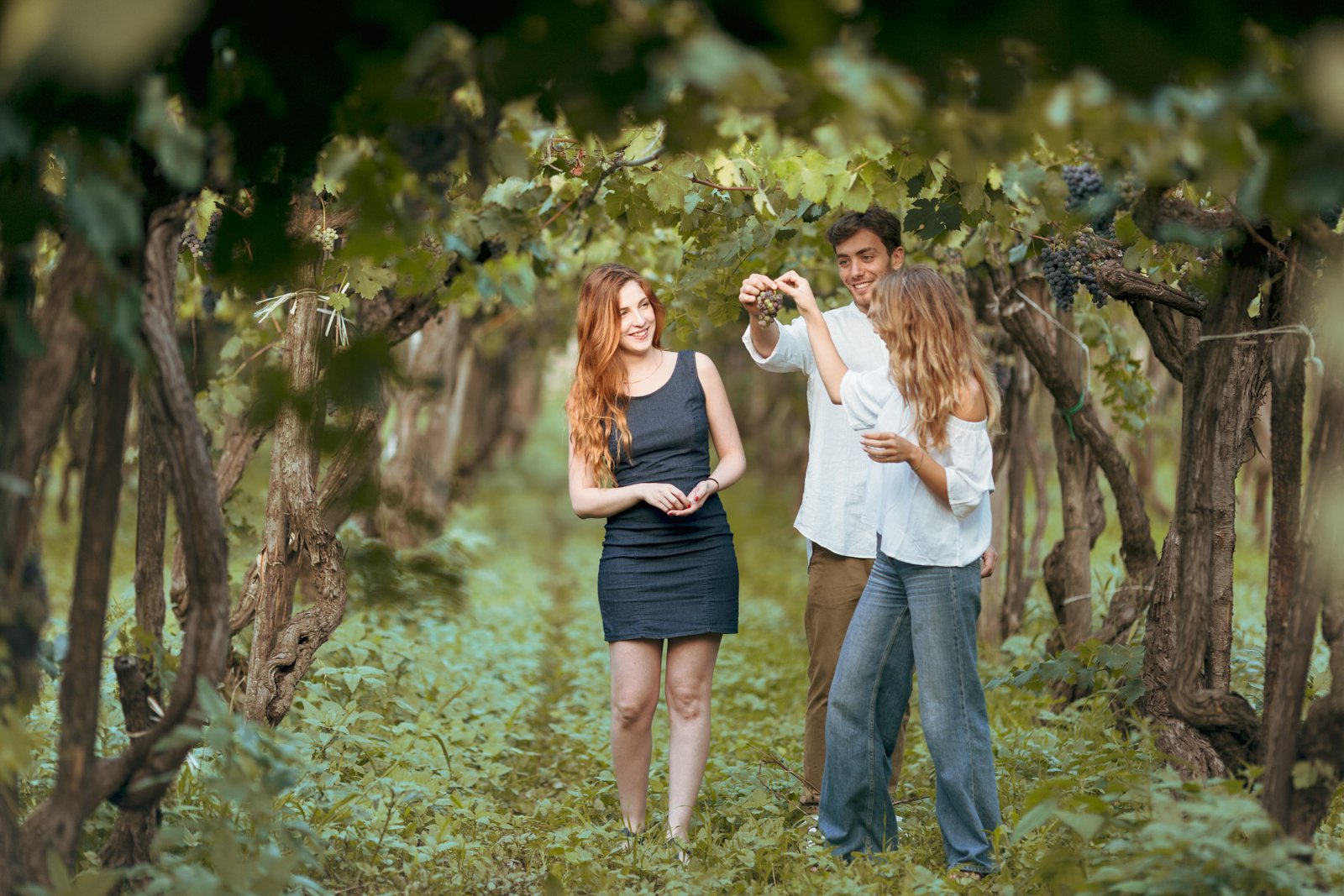 Mount Etna Vineyard & Culinary Expedition from Taormina