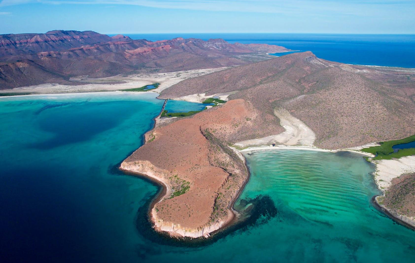 Espiritu Santo Island Sea Lion Snorkeling Expedition