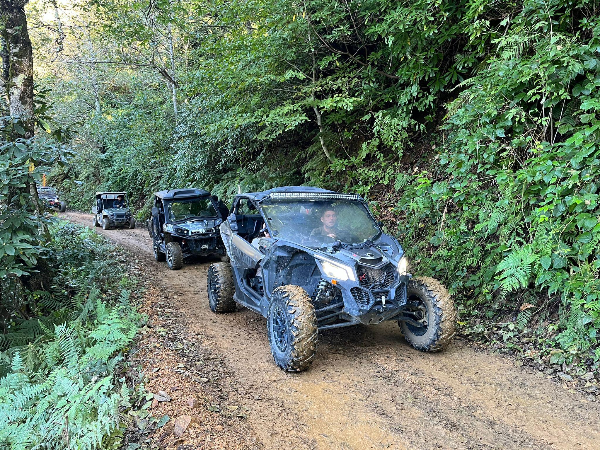 Mtirala National Park ATV, Buggy & Horseback Riding Adventure